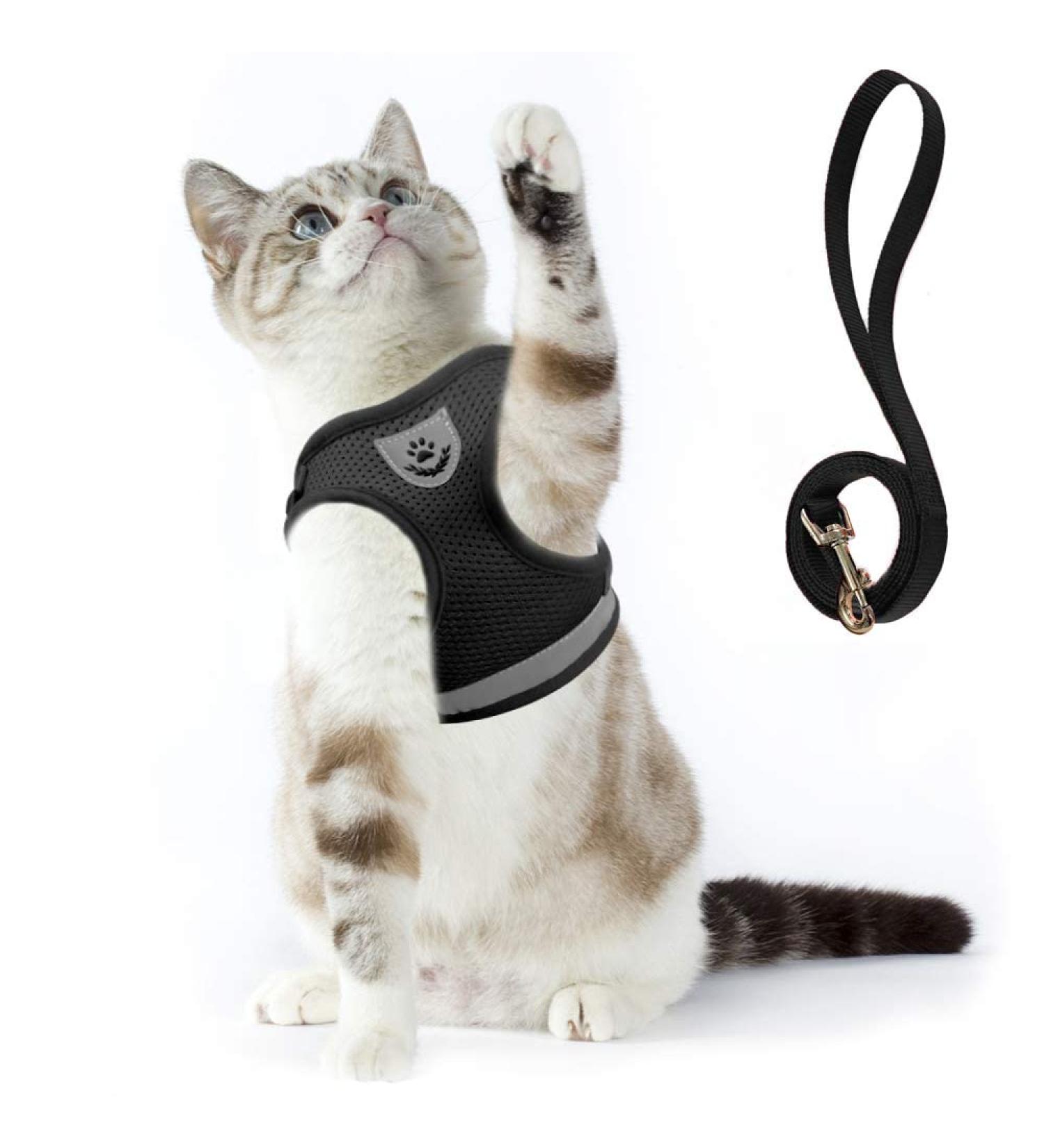 Buy Supet Cat Dishes & Soft Cat Vest with Leash for Kittens & Chihuahua - L Size Black - International Shipping Available - Buy Online on SooperMarket.com
