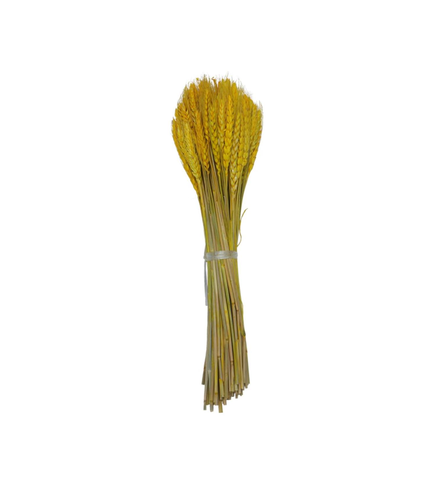 Zerodeko Natural Wheat 1 Decor Simulation Wheat Dried Wheat Rural Wheat Dried Flowers Natural Decorative Wheat - Buy Online on SooperMarket.com