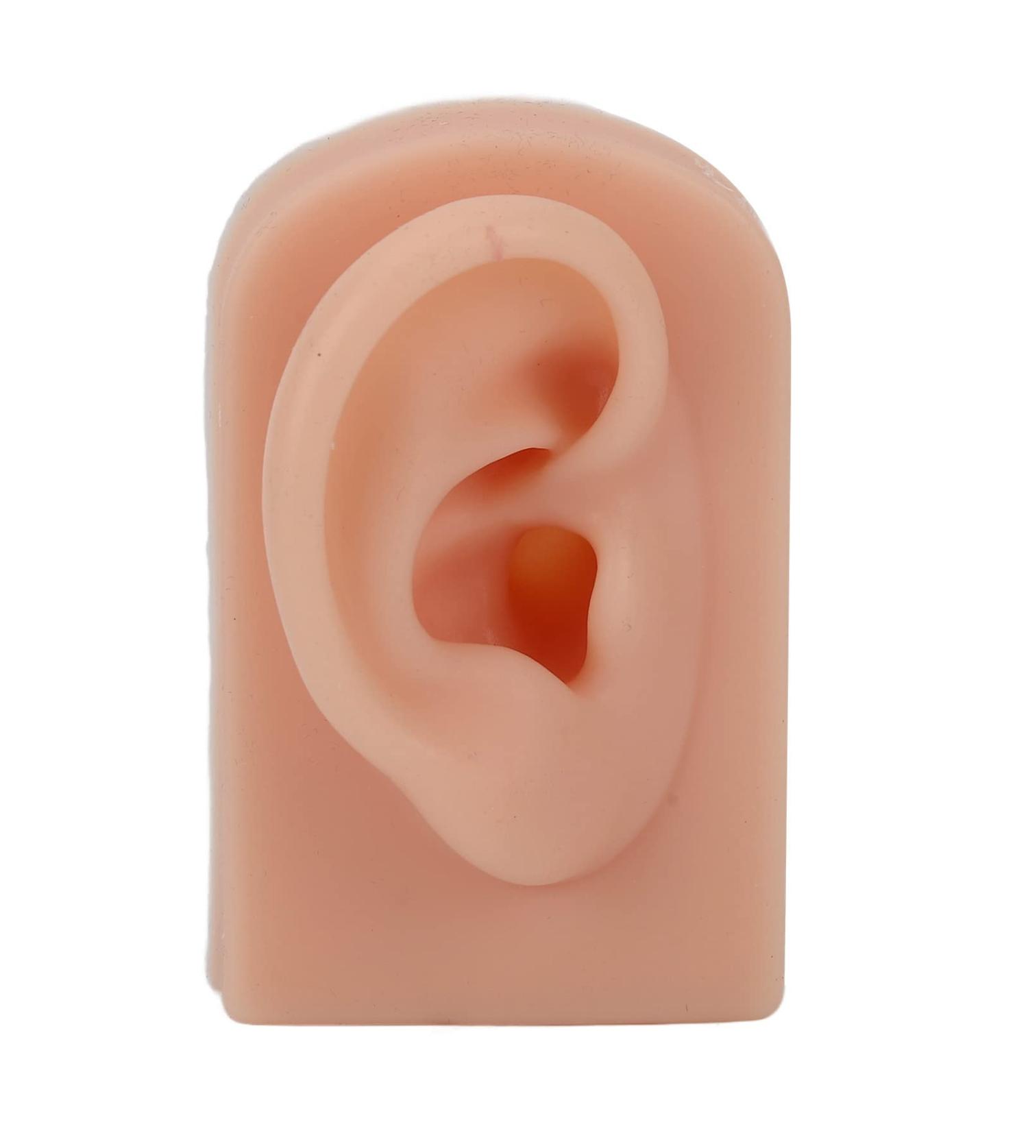 Silicone Ear Model for Piercing Training | Soft Flexible & Reusable Human Ear Display (Dark Skin Color) - International Shipping Available - Buy Online on SooperMarket.com