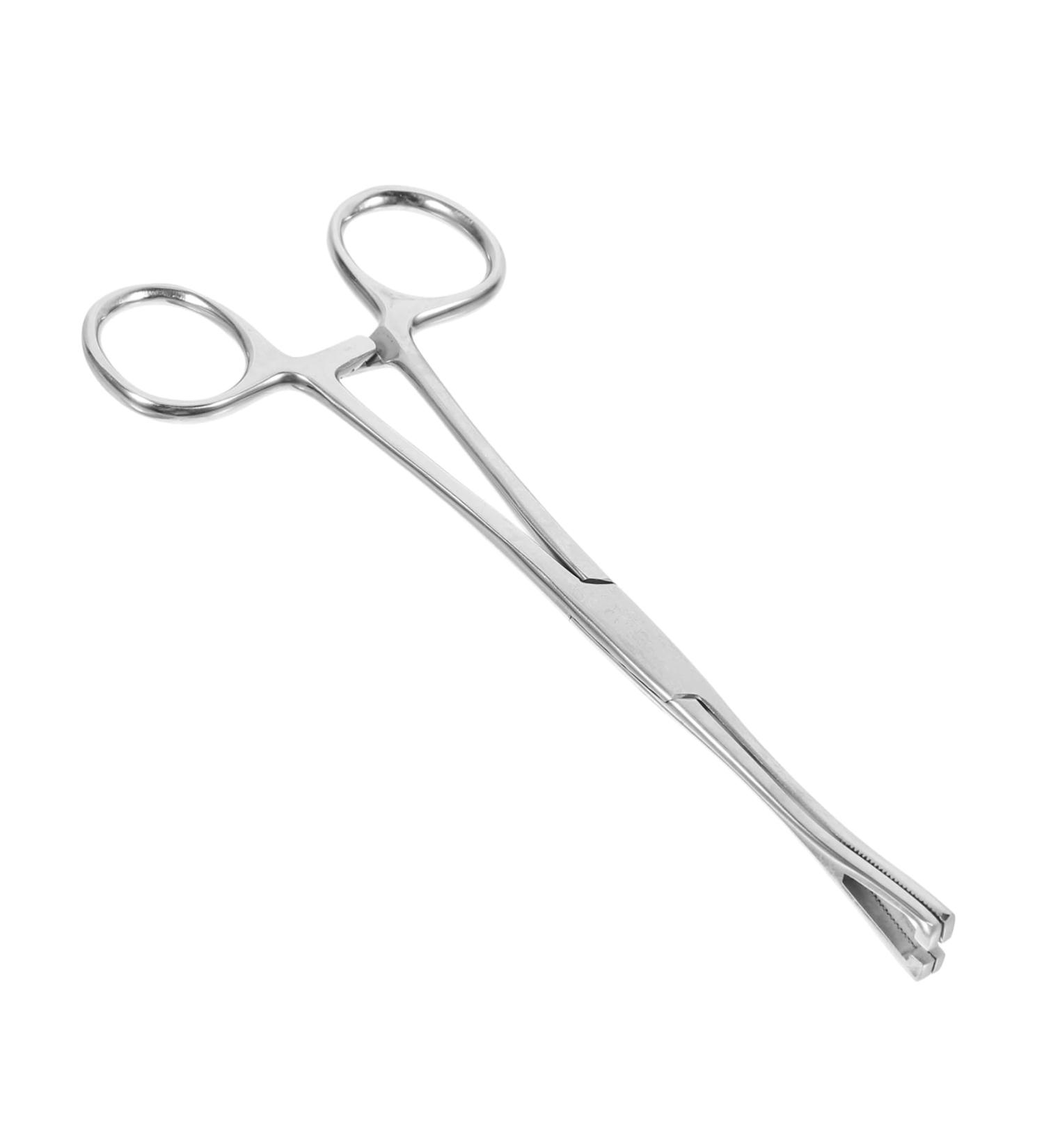 CORHAD Reptile Feeding Clip Reptile Tongs Feeding Reptile Tools Stainless Steel Silver - Buy Online on SooperMarket.com