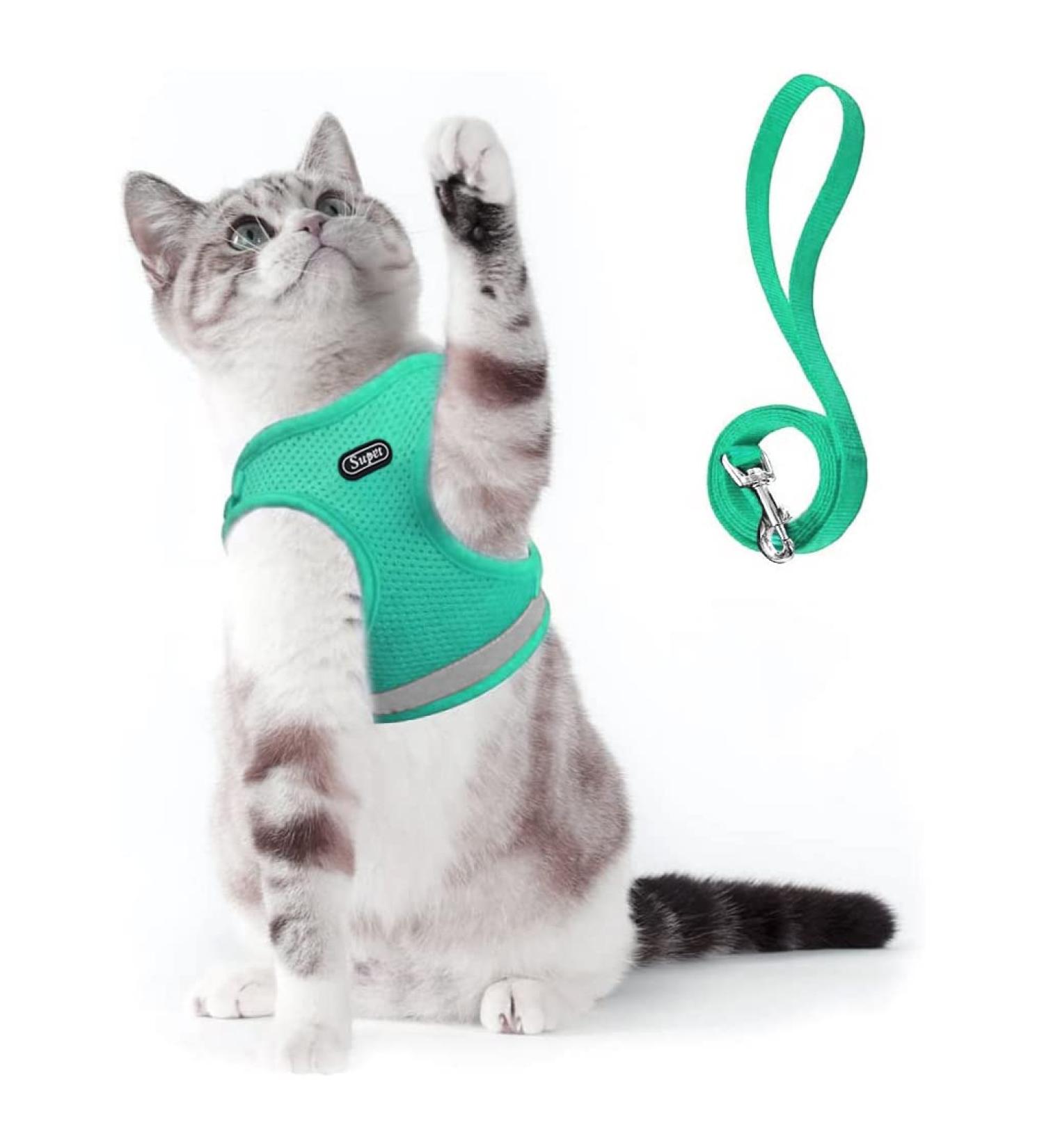 Supet Cat Dishes & Soft Vest for Kittens & Chihuahuas - Lime Green | International Shipping - Buy Online on SooperMarket.com
