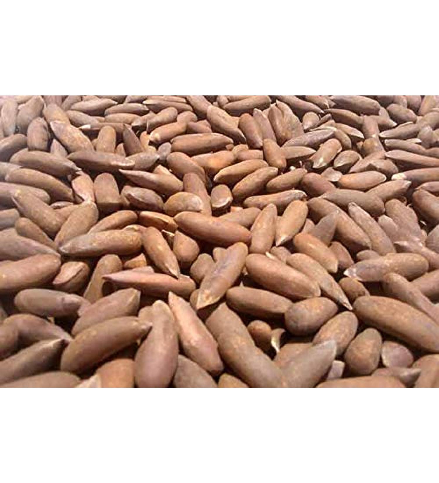Pine Nuts with Shell 500gms Chilgoza Dry Fruit Chilgoza Pine Nuts - Buy Online on SooperMarket.com