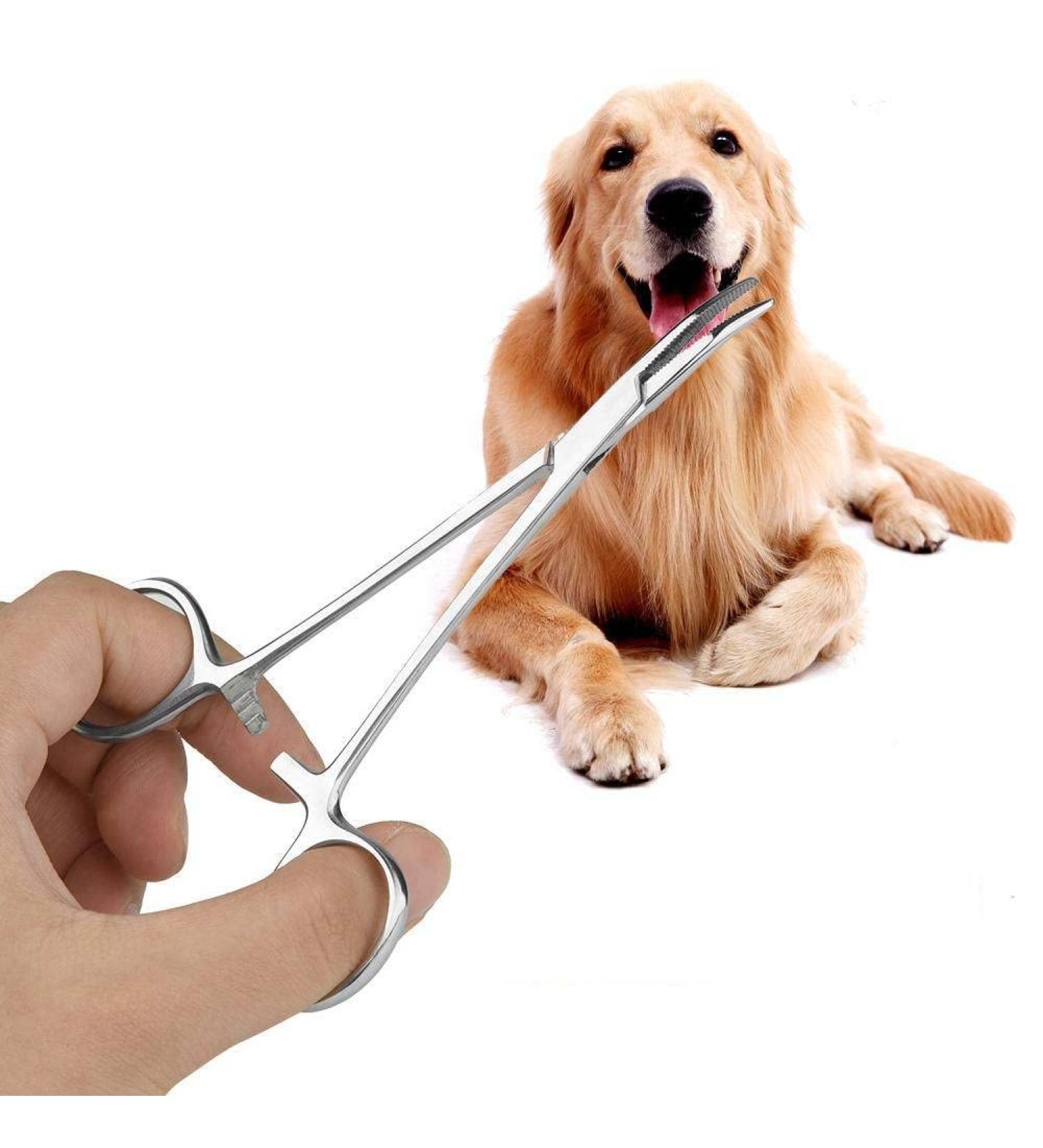 Pet Ear Locking Forceps Dog Ear Hair Puller Pet Groomers Scissor Dog Grooming Locking Tweezers Good Strong Animal Care Pet Groomers Tool(S) - Buy Online on SooperMarket.com