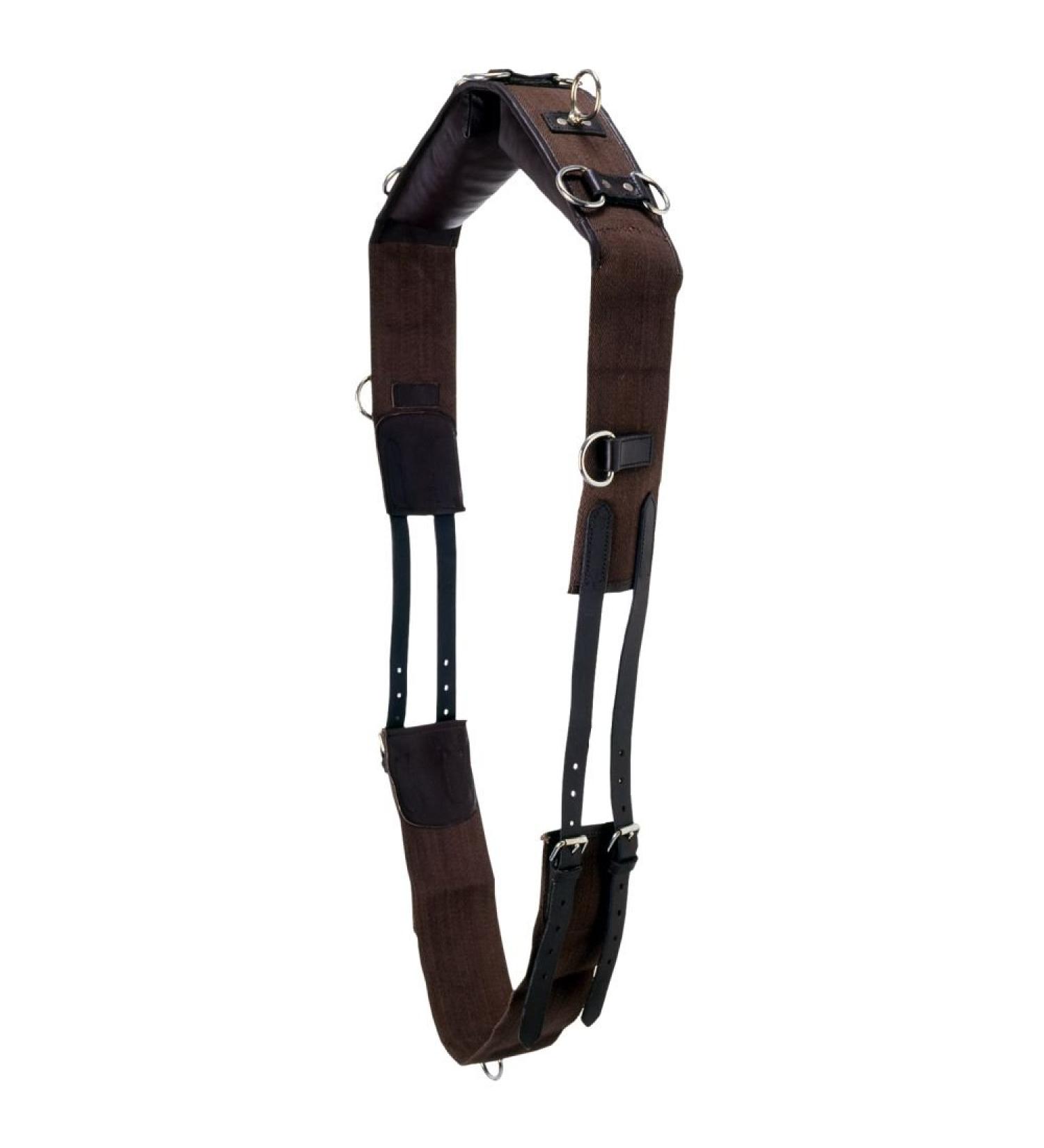 Tough 1 Professional Leather with Cotton Web Training Surcingle