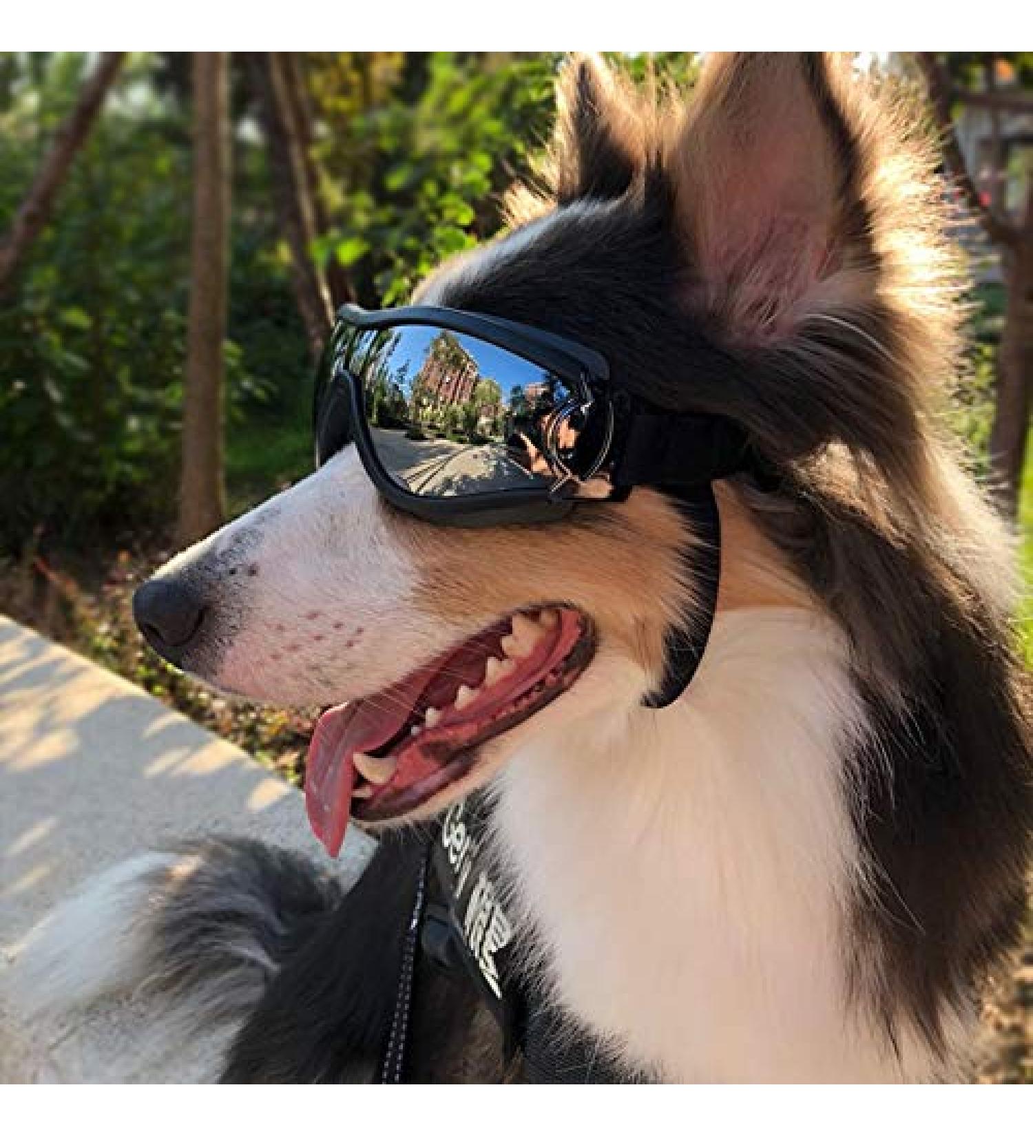 Dog Fashion: Doggles Goggles with UV Protection for Large/Medium Dogs - Buy Online on SooperMarket.com