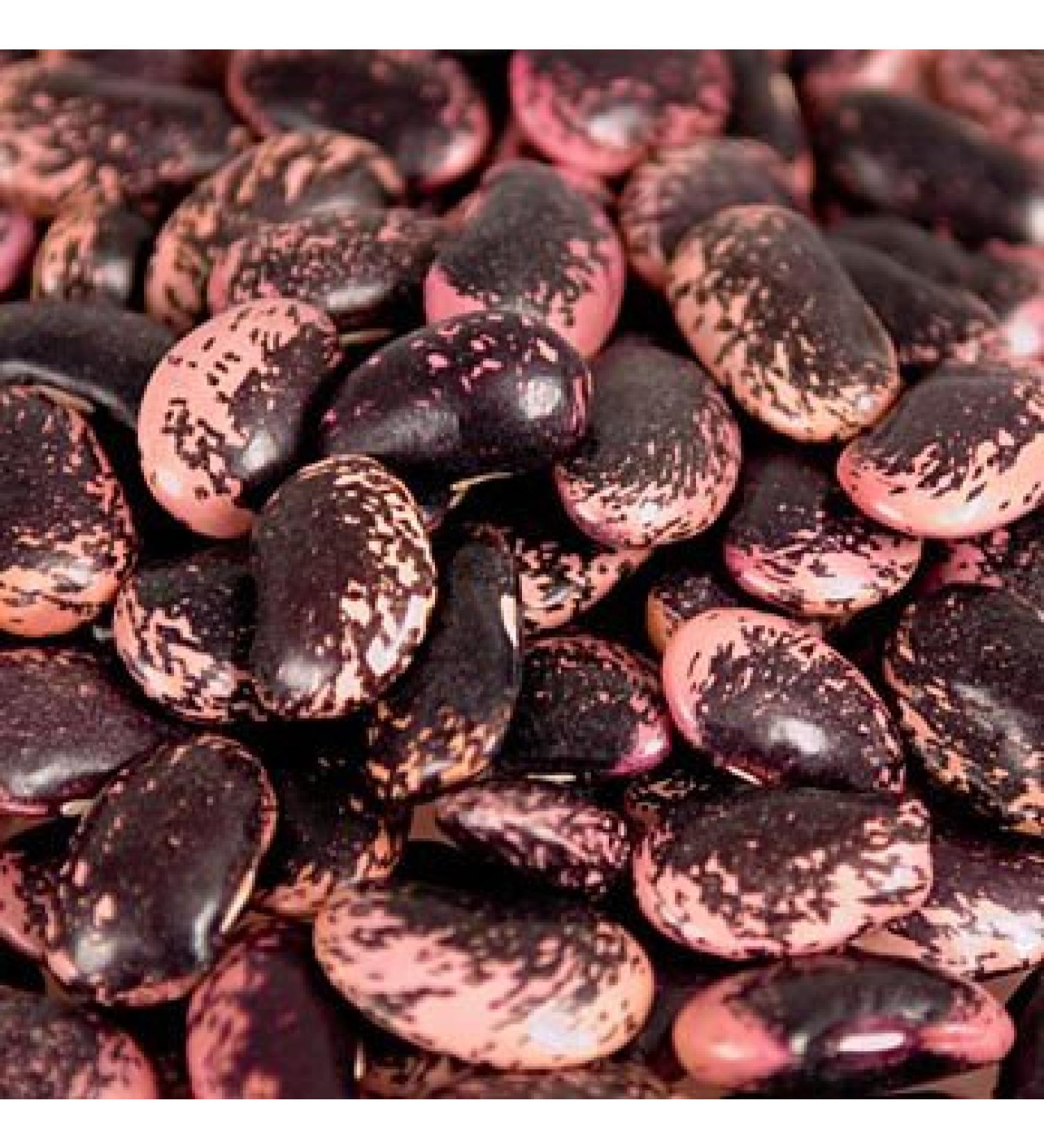 Deli-Vinos Legumes beans scarlet runner beans large red-black-violet dried from Austria 1 kg