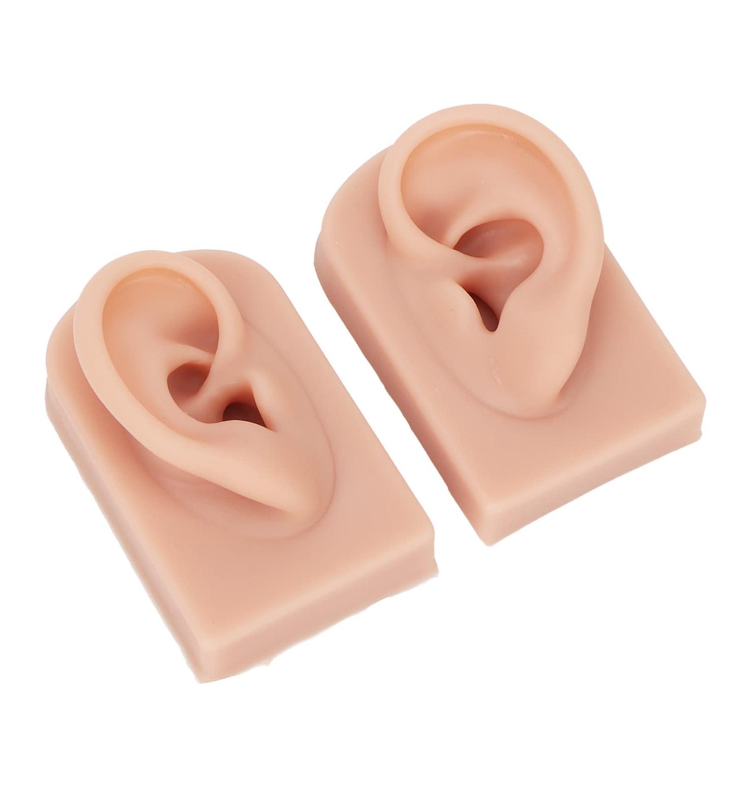 Soft Silicone Ear Model 1 Pair | Stretchable for Teaching & Medical Training | Medium Skin Tone - Buy Online on SooperMarket.com