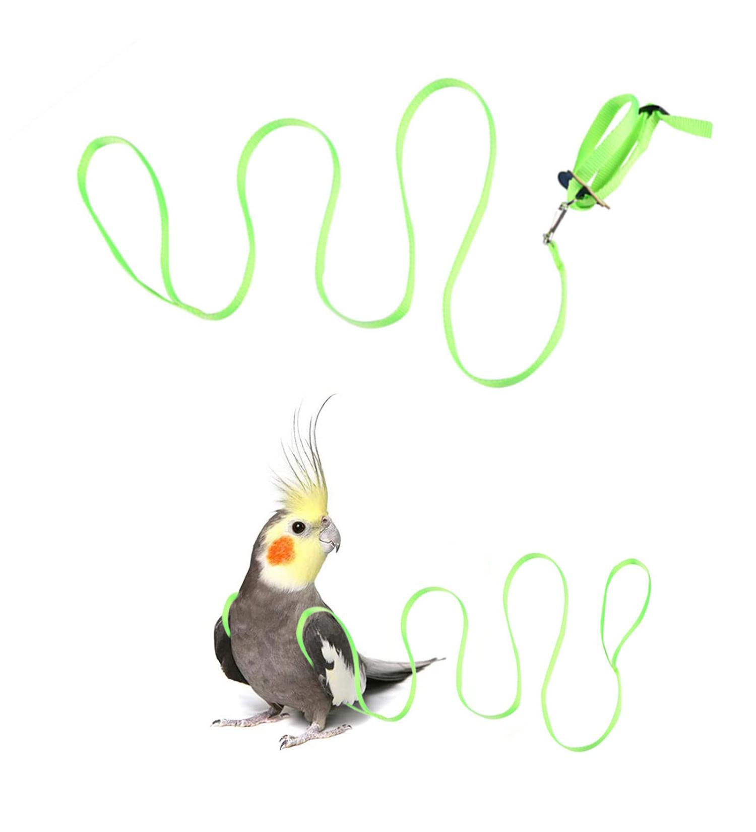 Adjustable Pet Parrot Bird Dishes & Anti-Bite Training Leash | Ideal for Outdoor Use - Buy Online on SooperMarket.com