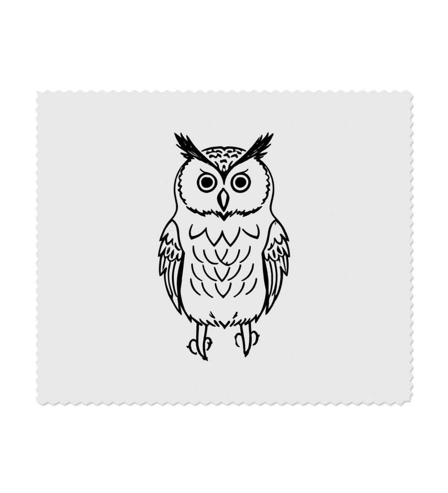 Buy 2 Cute Owl Microfiber Cleaning Cloths - Soft Durable & Eco-Friendly | Perfect for Home & Travel - Buy Online on SooperMarket.com