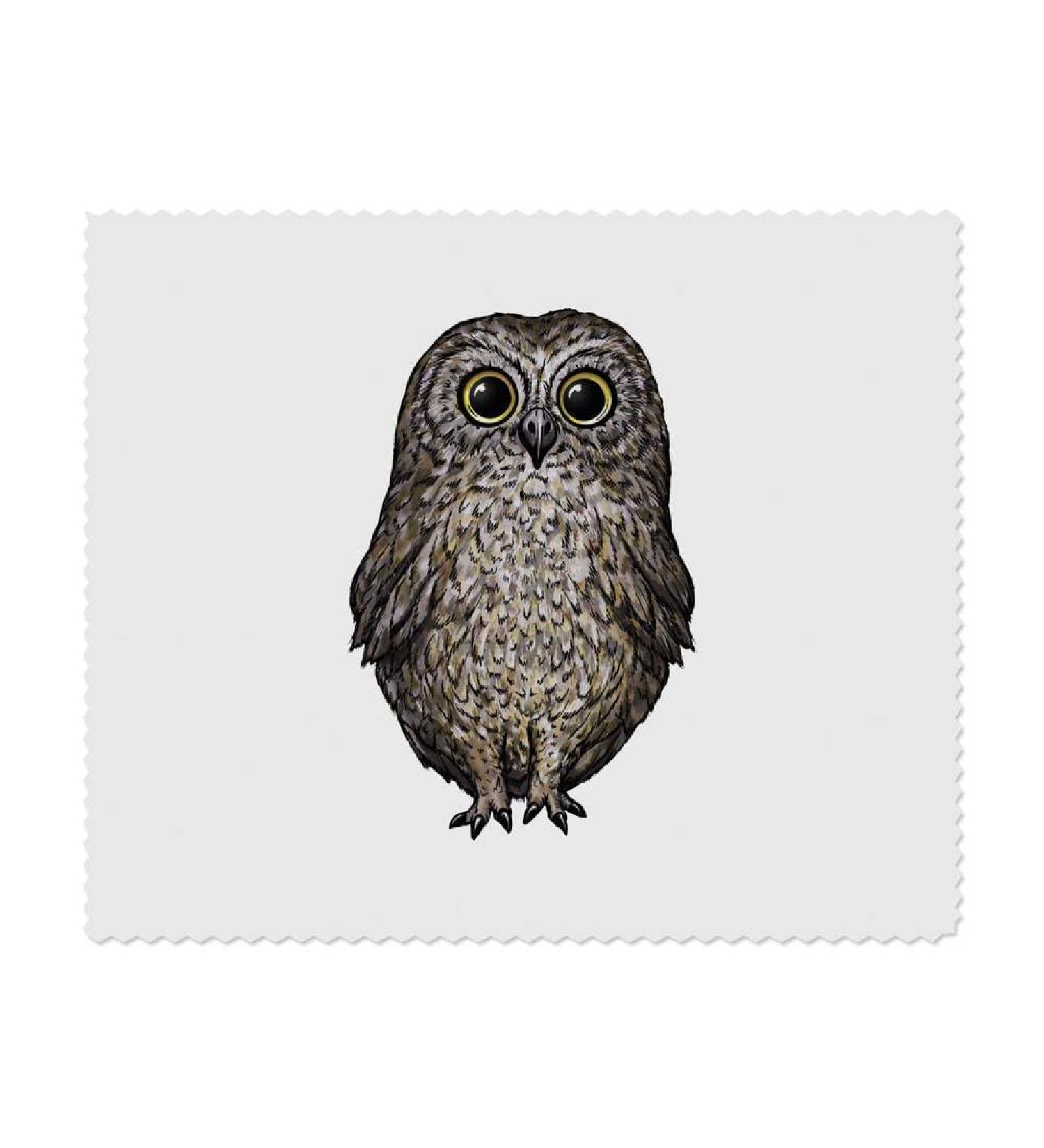 Buy Cute Owl Microfiber Lens & Eyeglass Cleaning Cloths - 2 Pack | International Shipping - Buy Online on SooperMarket.com