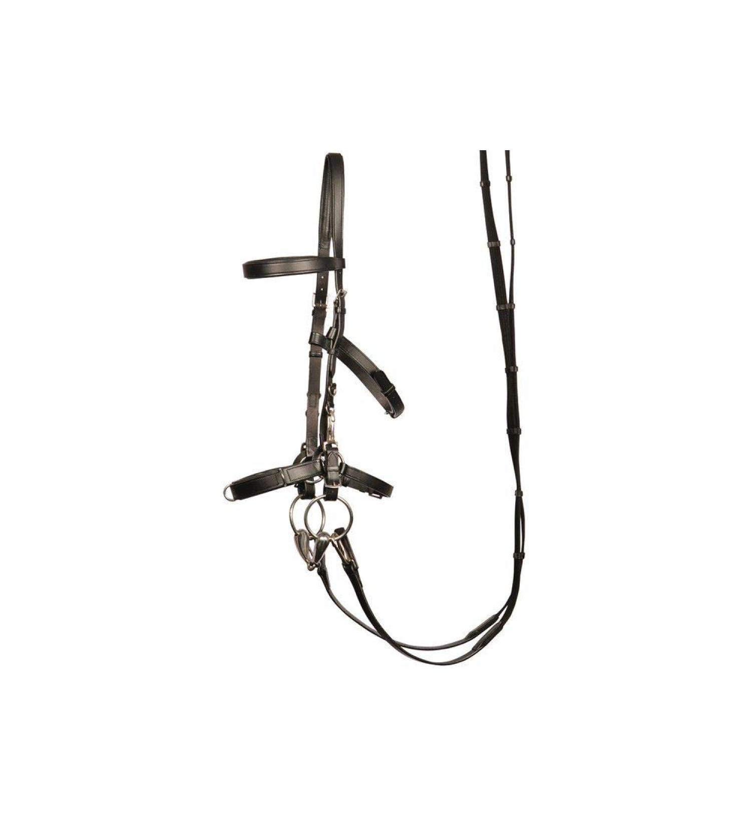 Harry's Horse Kaptoom Headstall - Premium Leather Cob Size for Equestrian Excellence - International Shipping Available - Buy Online on SooperMarket.com