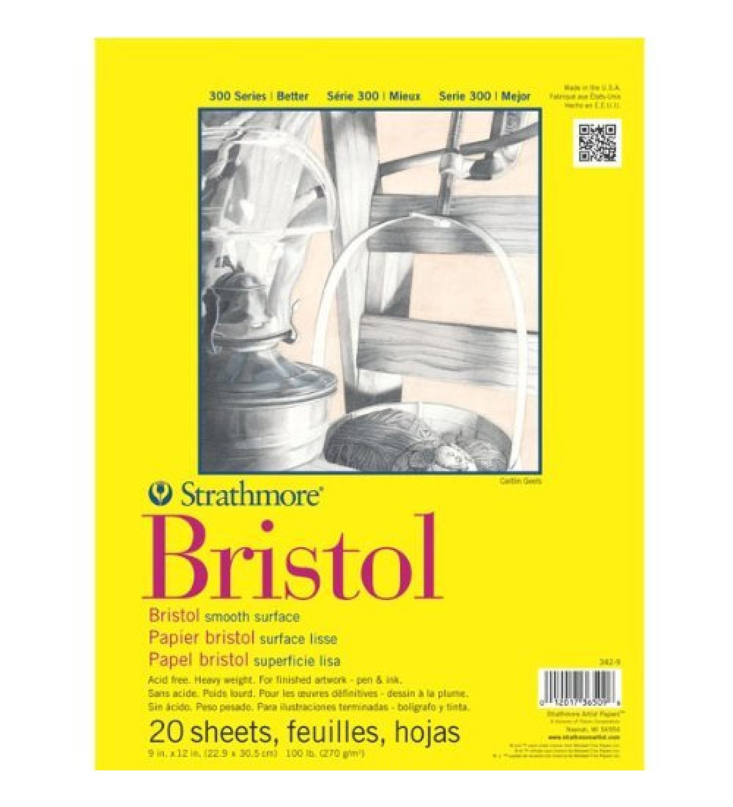Strathmore 300 Series Bristol Smooth 9x12 Pack of 2 - Buy Online on SooperMarket.com