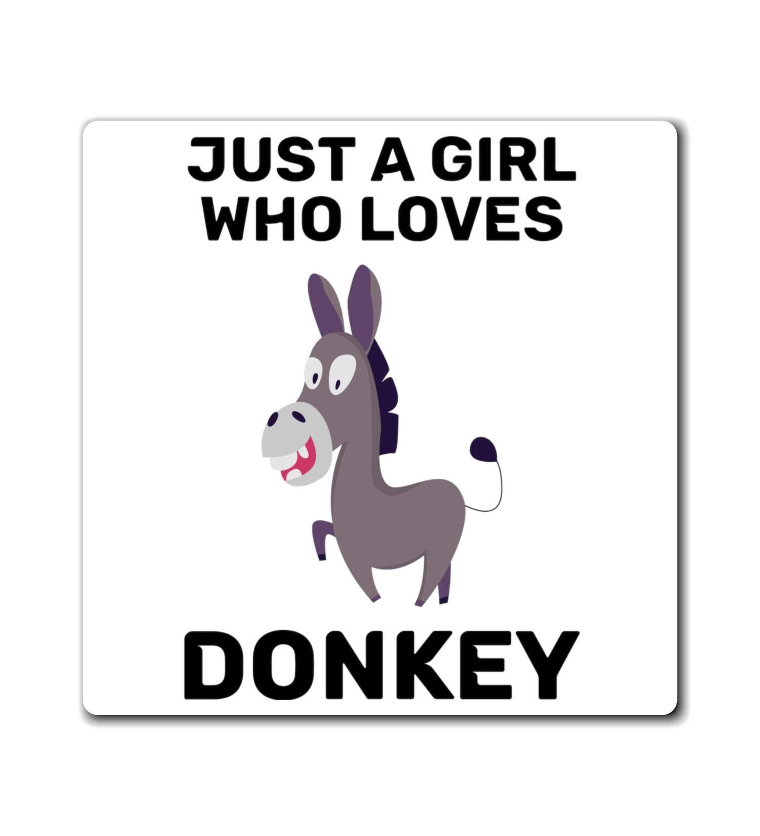 Hilarious Horseback Riding Horses Foal Donkey Enthusiast Humorous Racehorse Town Country Eohippus Lover Magnets 4" 4" - Buy Online on SooperMarket.com