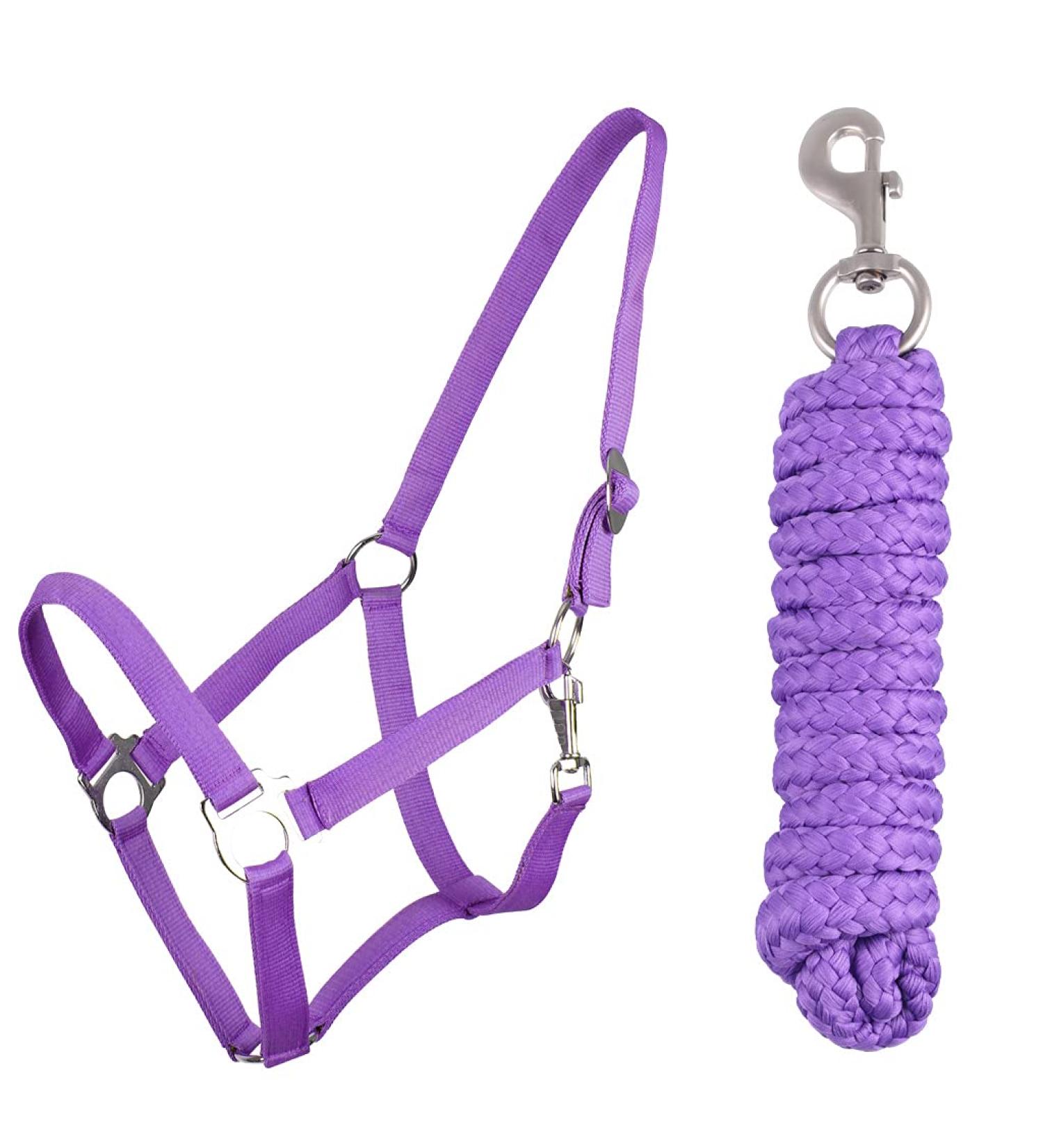 QHP Halter Set Beginner Halter + Lead Rope Heavy Snap Hook (Shetty Passion Flower) Shetty passion flower