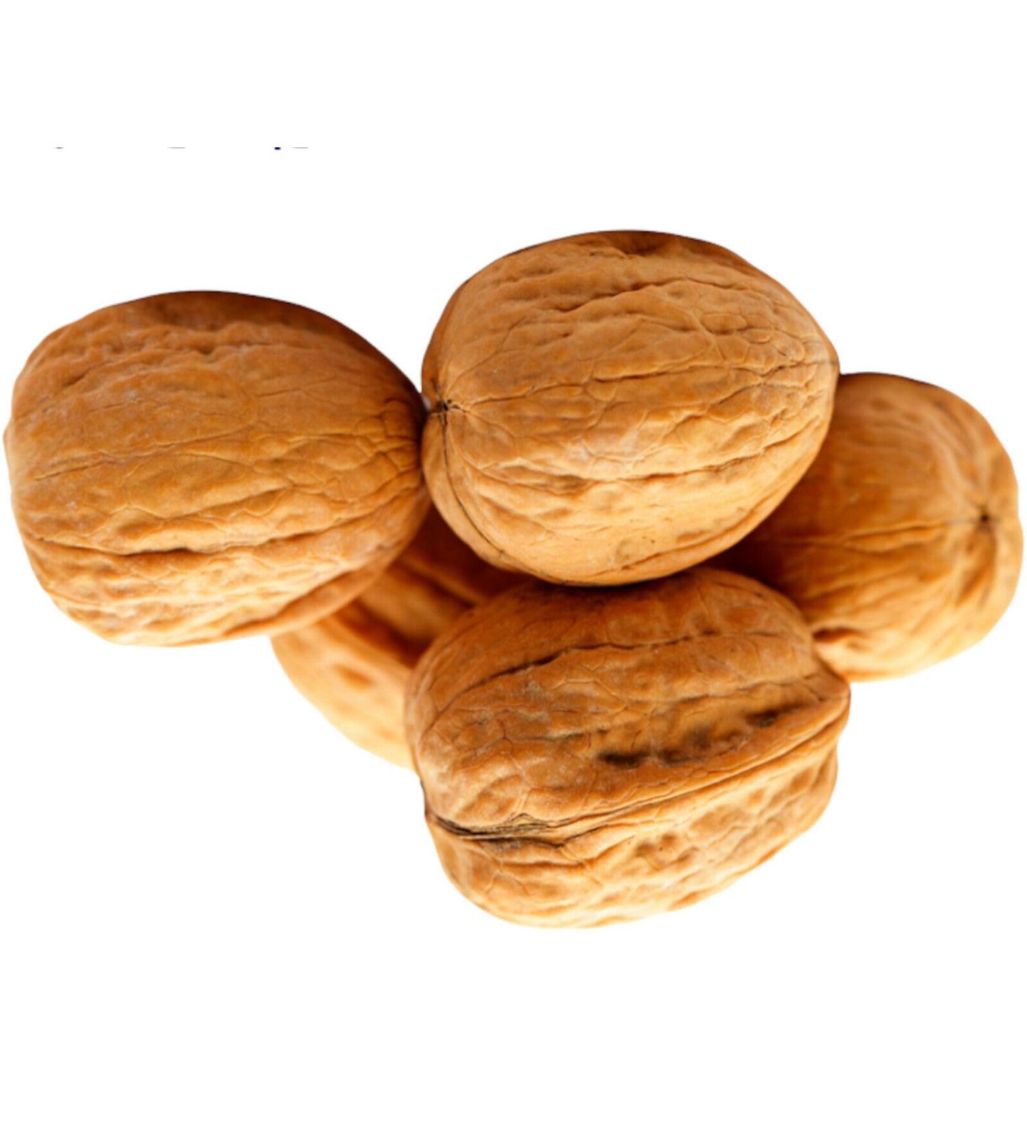 Walnuts in their Shell Whole Raw Nuts 500g - Premium Whole Walnuts in their Shell 500g