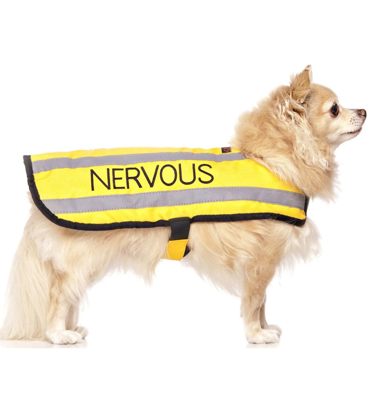 NERVOUS (Give Me Space) Yellow Colour Coded S M L Reflective Waterproof Fleece Lined Warm Dog Coats PREVENTS Accidents By Warning Others Of Your Dog In Advance (S) Small Coat - Buy Online on SooperMarket.com