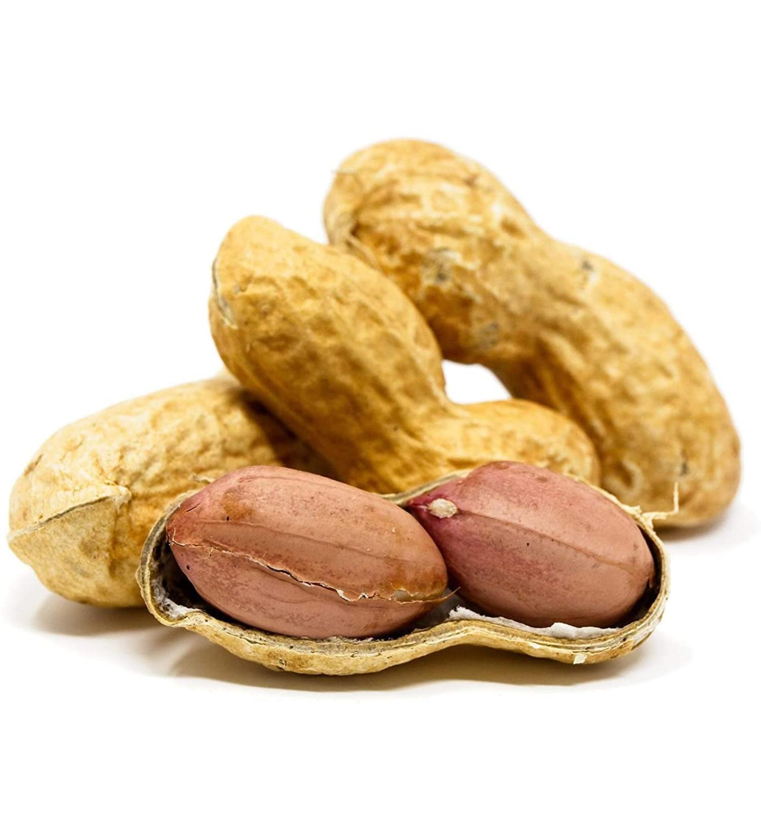 Premium USA Grown Raw Peanuts in Shell for Squirrels - Unsalted & Boiled Jumbo Peanuts for Birds - Green - Buy Online on SooperMarket.com