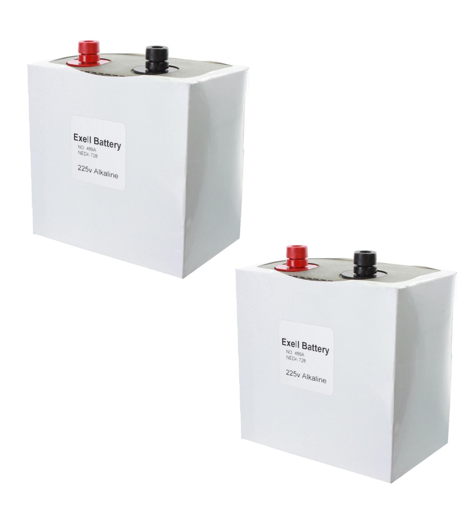 Buy 2pc Exell 489A Alkaline 225V Battery NEDA 728 - Non Rechargeable | Fast International Shipping - Buy Online on SooperMarket.com