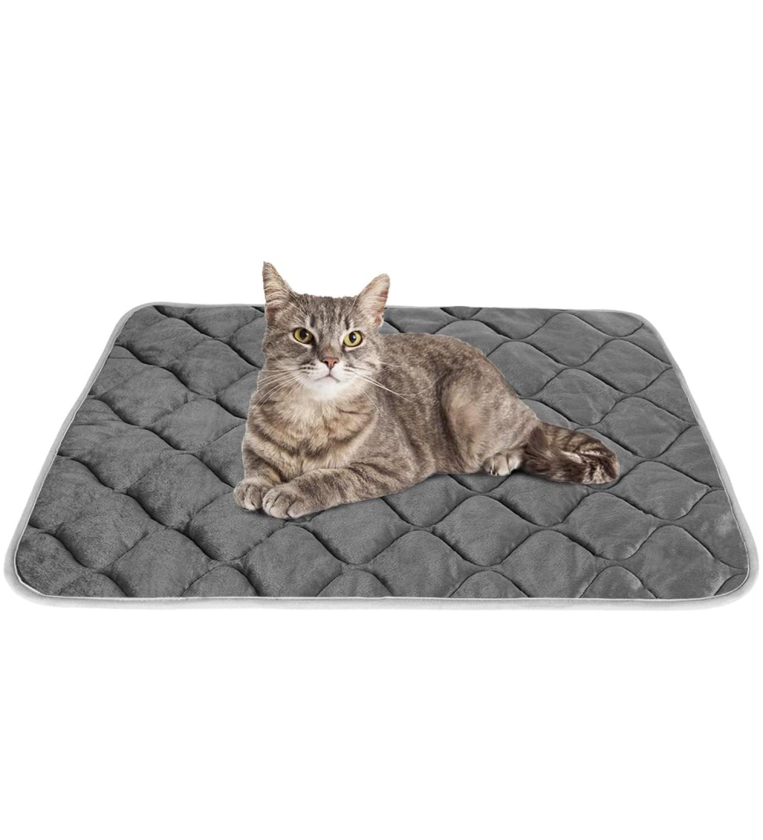 Self-Heating Cat Mat - Thermal Pet Bed Mat - 16 x 20 - Grey - Buy Online on SooperMarket.com