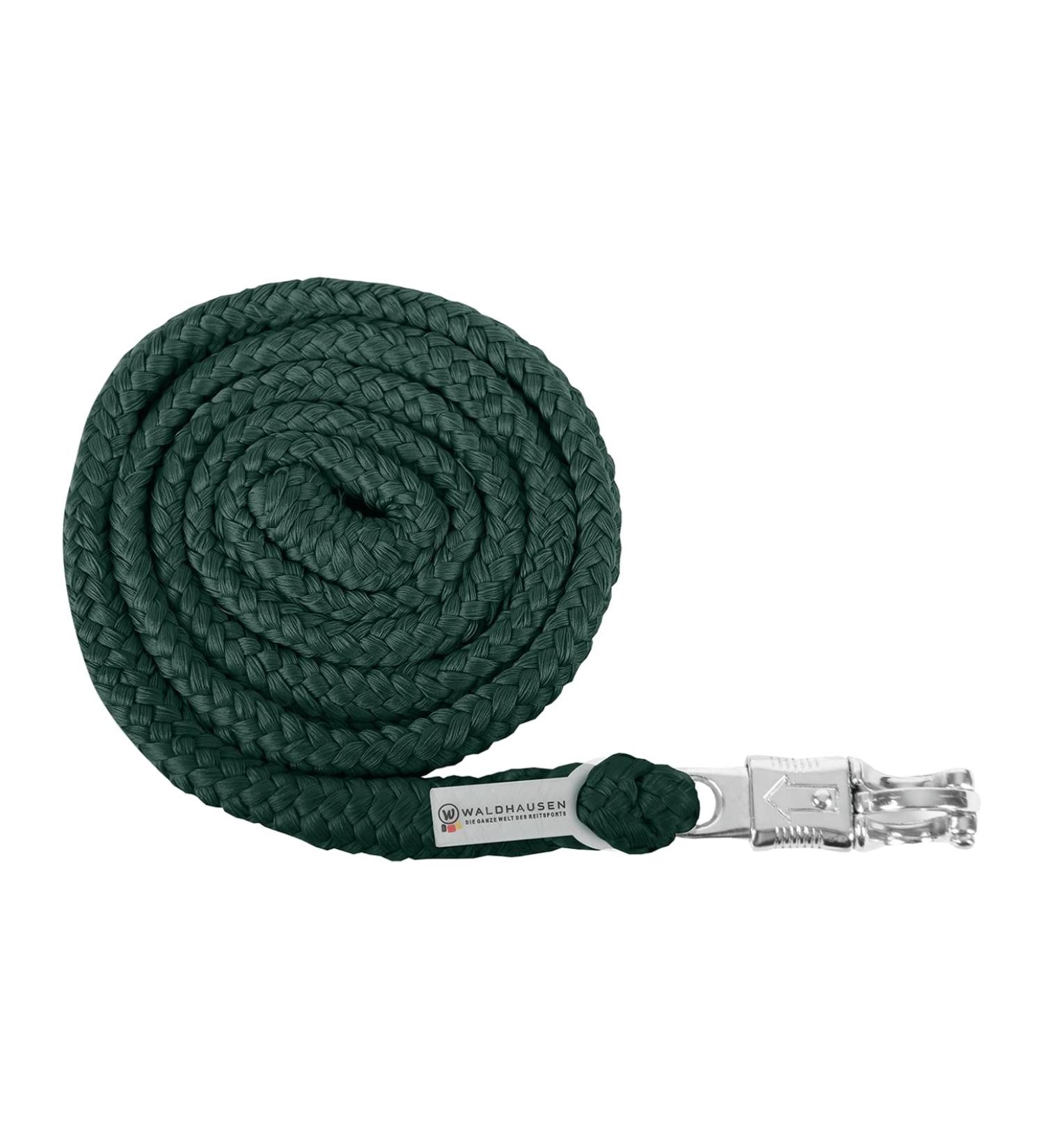 WALDHAUSEN tie rope Economic - panic hook fir green