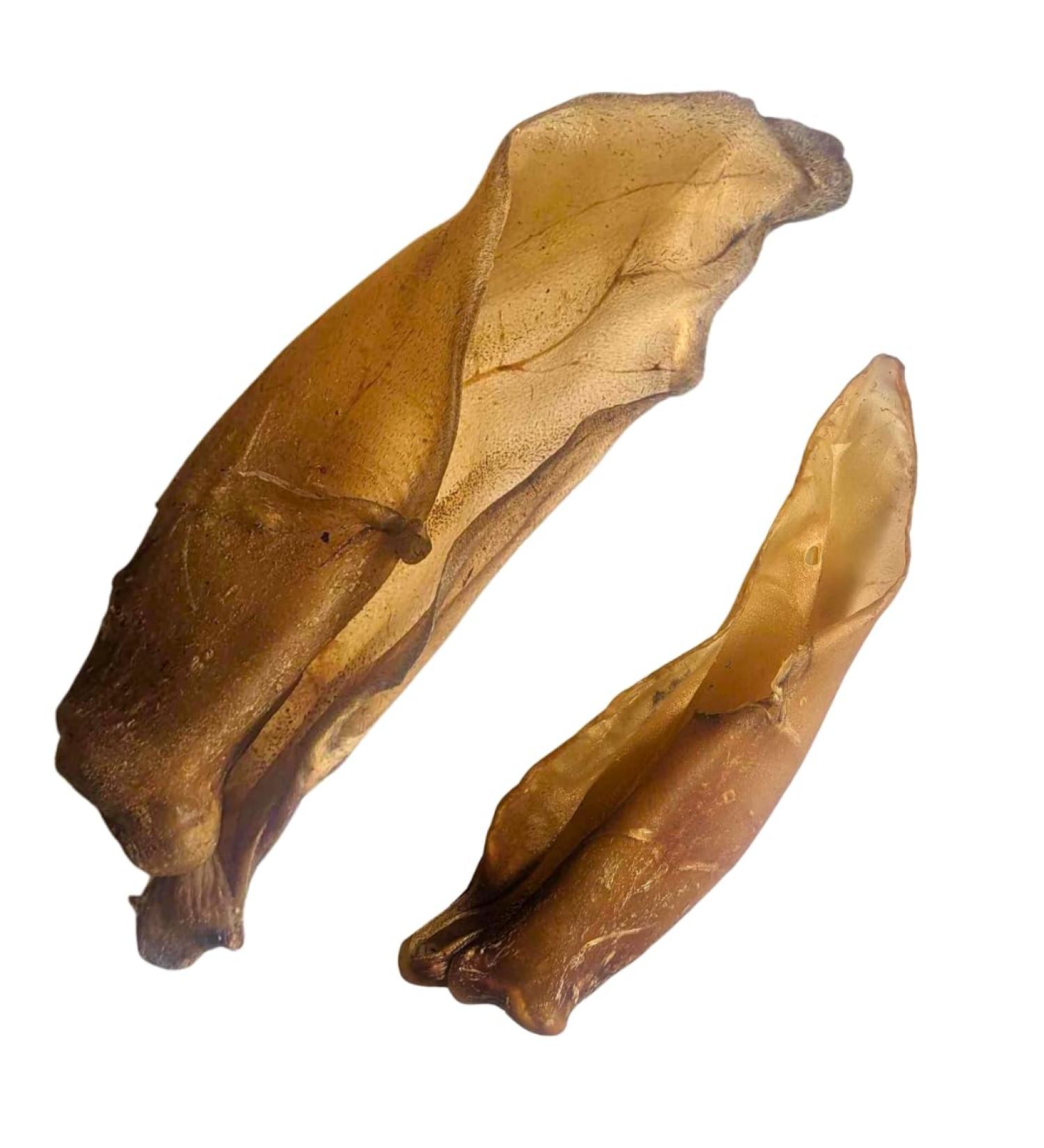 Buffalo Ear & Meat - Natural Dog Chew Treat - High Protein Healthy Snack - Dog Pick and Mix (Buffalo Ear Large x5)