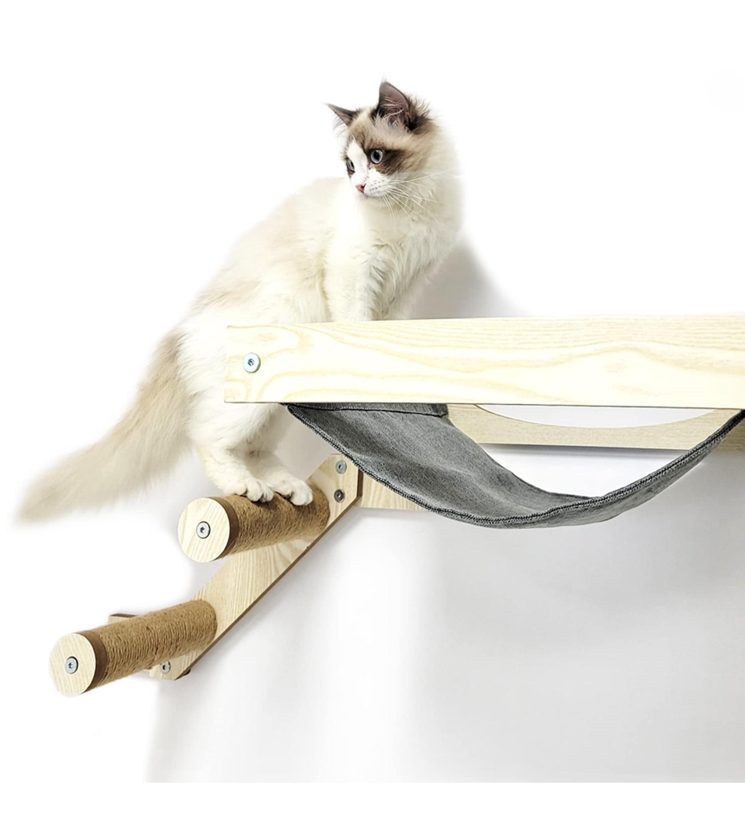 HeyKitten Stud Mounted Cat Hammock & Climbing Stairs Combo - Lounging, Napping, Playing & Jumping Solution - Buy Online on SooperMarket.com