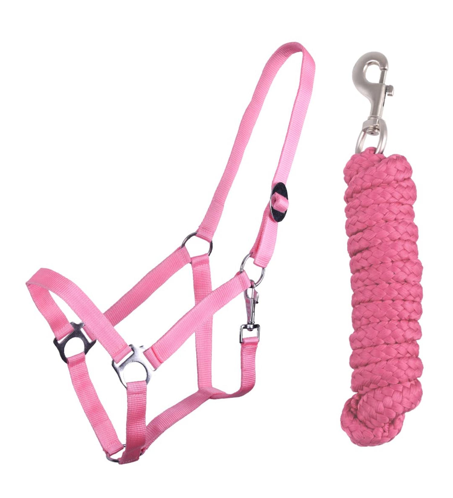 QHP bv Halter Set Beginner Halter + Lead Rope Heavy Snap Hook (Shetty Flamingo pink) Shetty flamingo pink