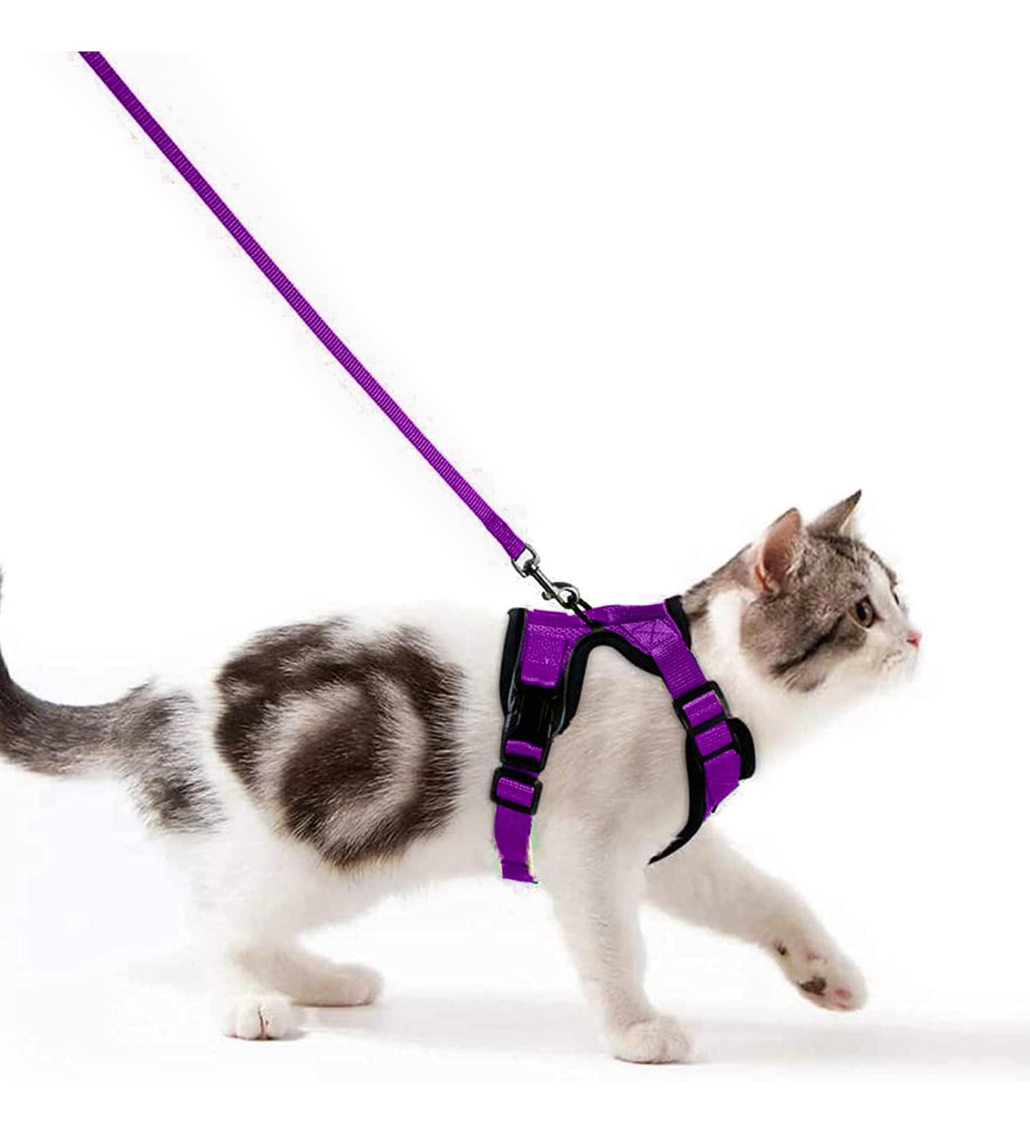 Breakproof Cat Leash Set with Adjustable Reflective Vest & Dishes for Small Kittens - Purple XS - Buy Online on SooperMarket.com