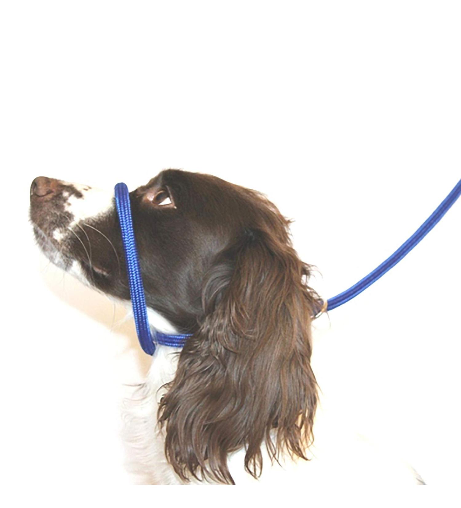 Dog & Field Figure 8 Anti-Pull Head Collar (BLUE) - One Size Soft Nylon - Comfortable & Secure - Fitting Instructions - Enjoyable Walks - No More Pulling - Buy Online on SooperMarket.com