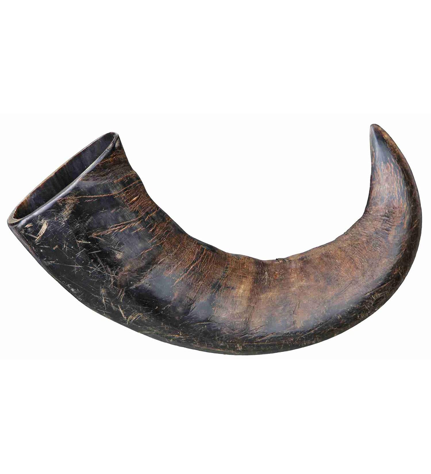 Buy TX-27743 Buffalo Chewing Horn Large - Natural Dog Chew | 1 Piece Pack - Durable & Healthy Treat - Buy Online on SooperMarket.com