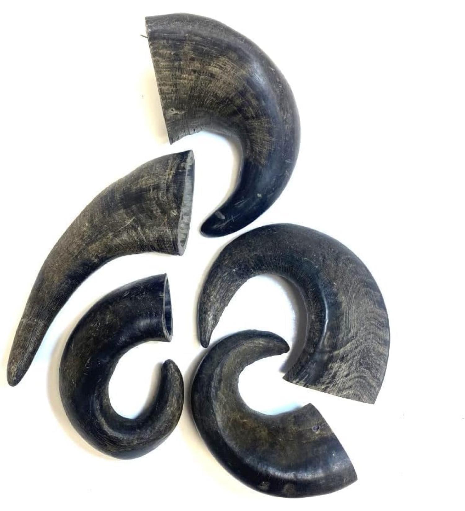 Small Buffalo Horns x 5 Natural Dog Treats Chews LPD - Buy Online on SooperMarket.com