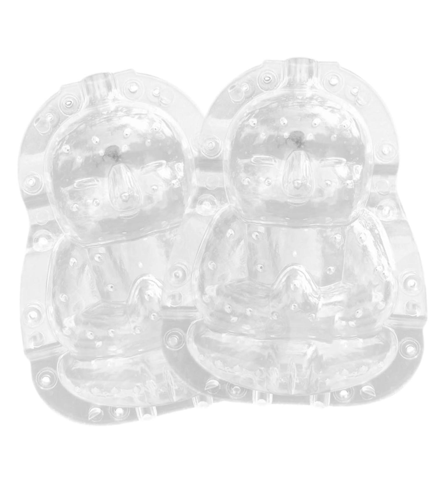 BRIGHTFUFU Plastic Fruit 2pcs Watermelon Tool Duddha Melon Tiny Growth Mold Tools Mould Buddha Adorable Shaping Transparent - Buy Online on SooperMarket.com