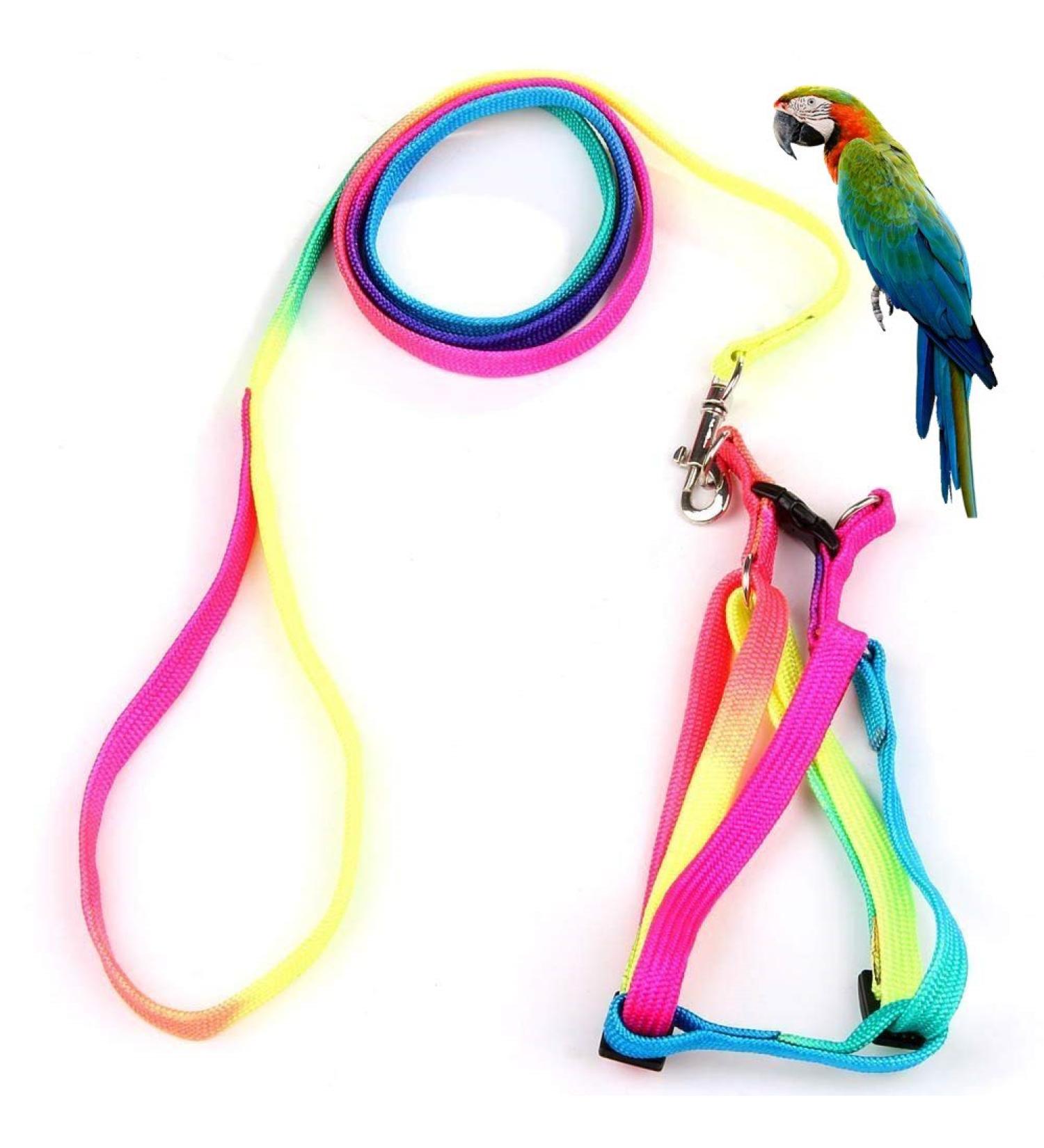Hypeety Rainbow Design Pet Bird Harness & Leash | Outdoor Anti-Bite Training Rope for Macaw & Large Birds | Adjustable & Safe Parrot Leash (L 1.5cm 47.24in) - Buy Online on SooperMarket.com