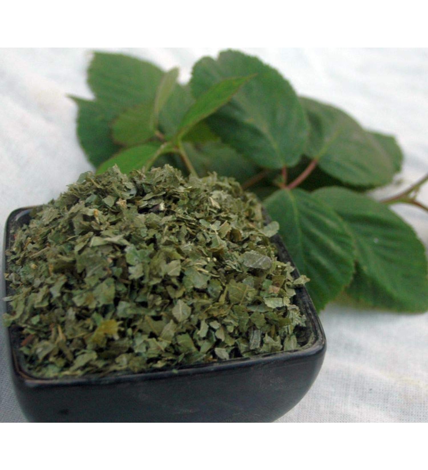 Krauterino24 - Blackberry leaves cut quantity: 250g