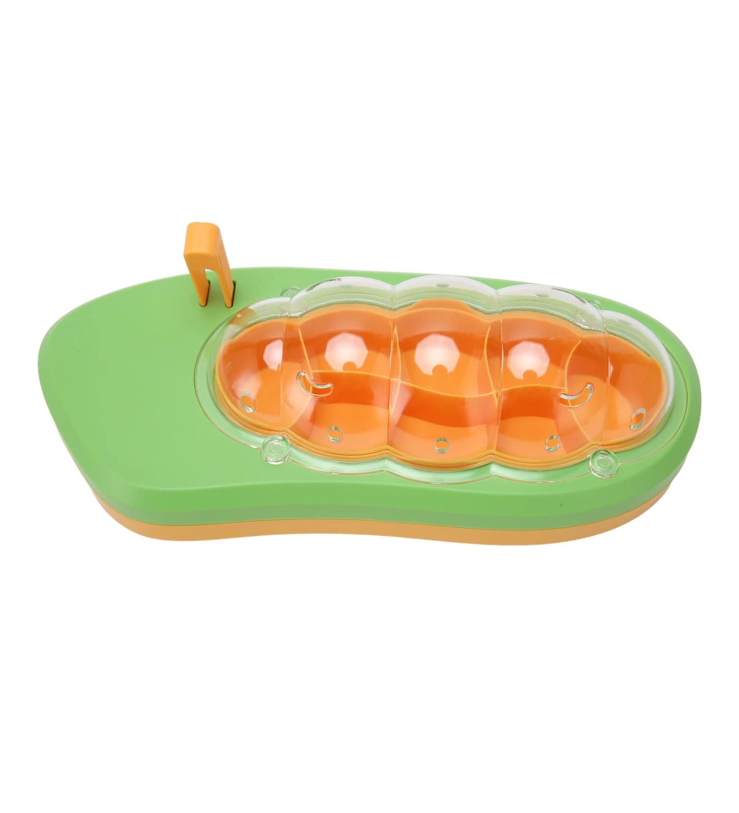 Observation Box Baby Silkworm Shape Silkworm Rearing Bucket Mesh Hole Design Multifunctional Educational for Reptiles (Green) - Buy Online on SooperMarket.com