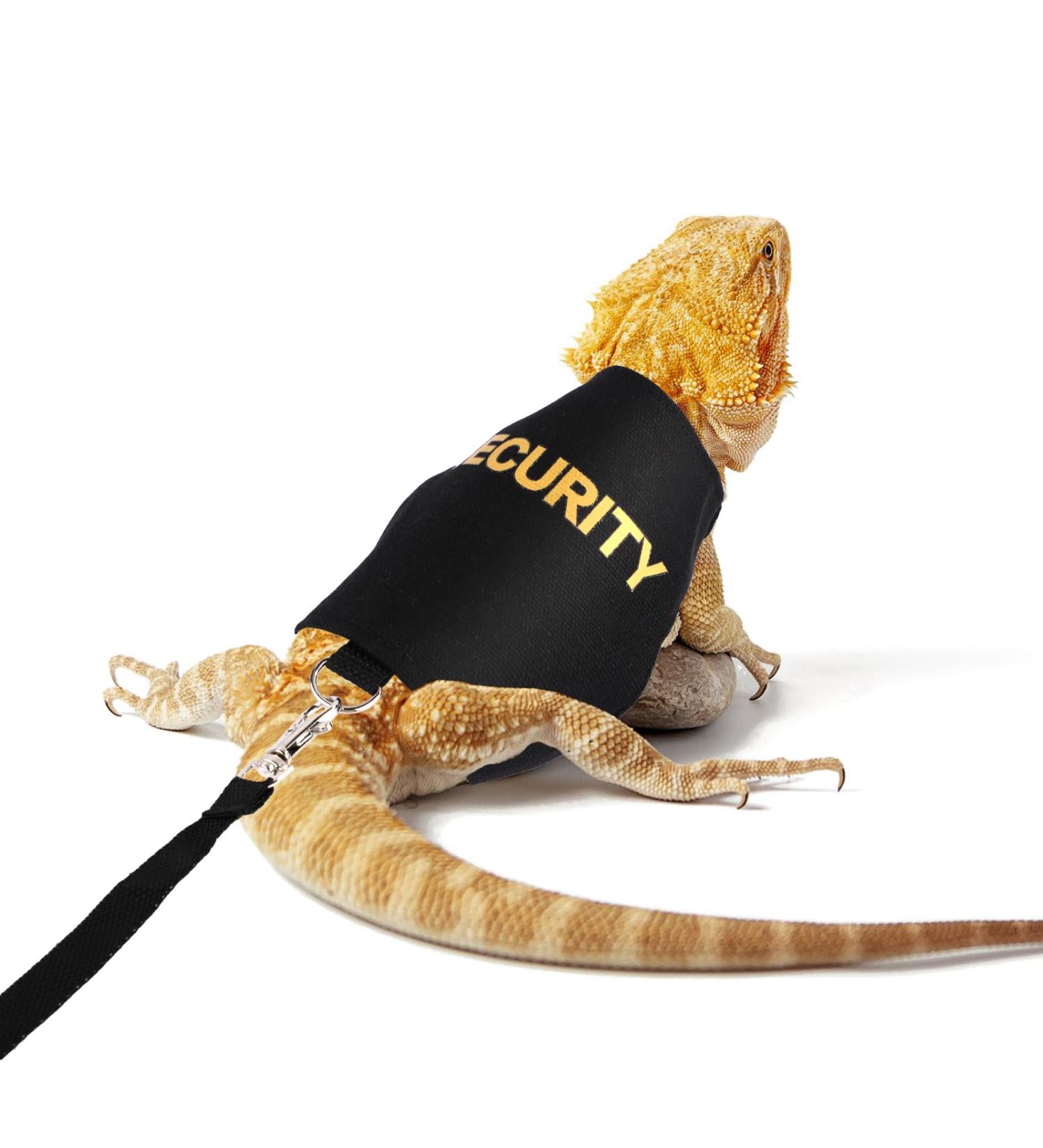 Shop Bartagame Leash & Dishes for Reptiles - Adjustable Linen Leash & Accessories for Amphibians Chameleons & Small Pets - Perfect for Outdoor Security & Walks - Buy Online on SooperMarket.com