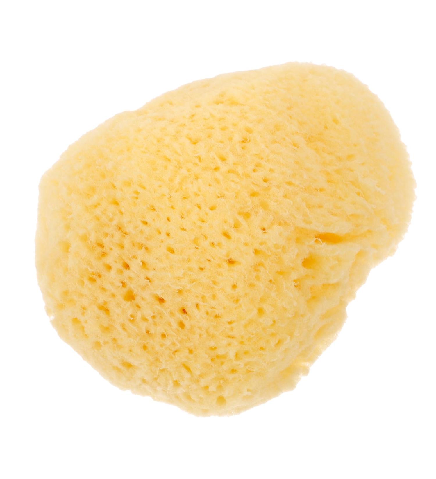 HAPINARY Natural Sponge Greece Face Sponges for Cleansing and Exfoliating Facial Essentials Face Cleaning Pad Sponges for Facials Facial Cleansing Sponge Cleansing Sponges for Face - Buy Online on SooperMarket.com