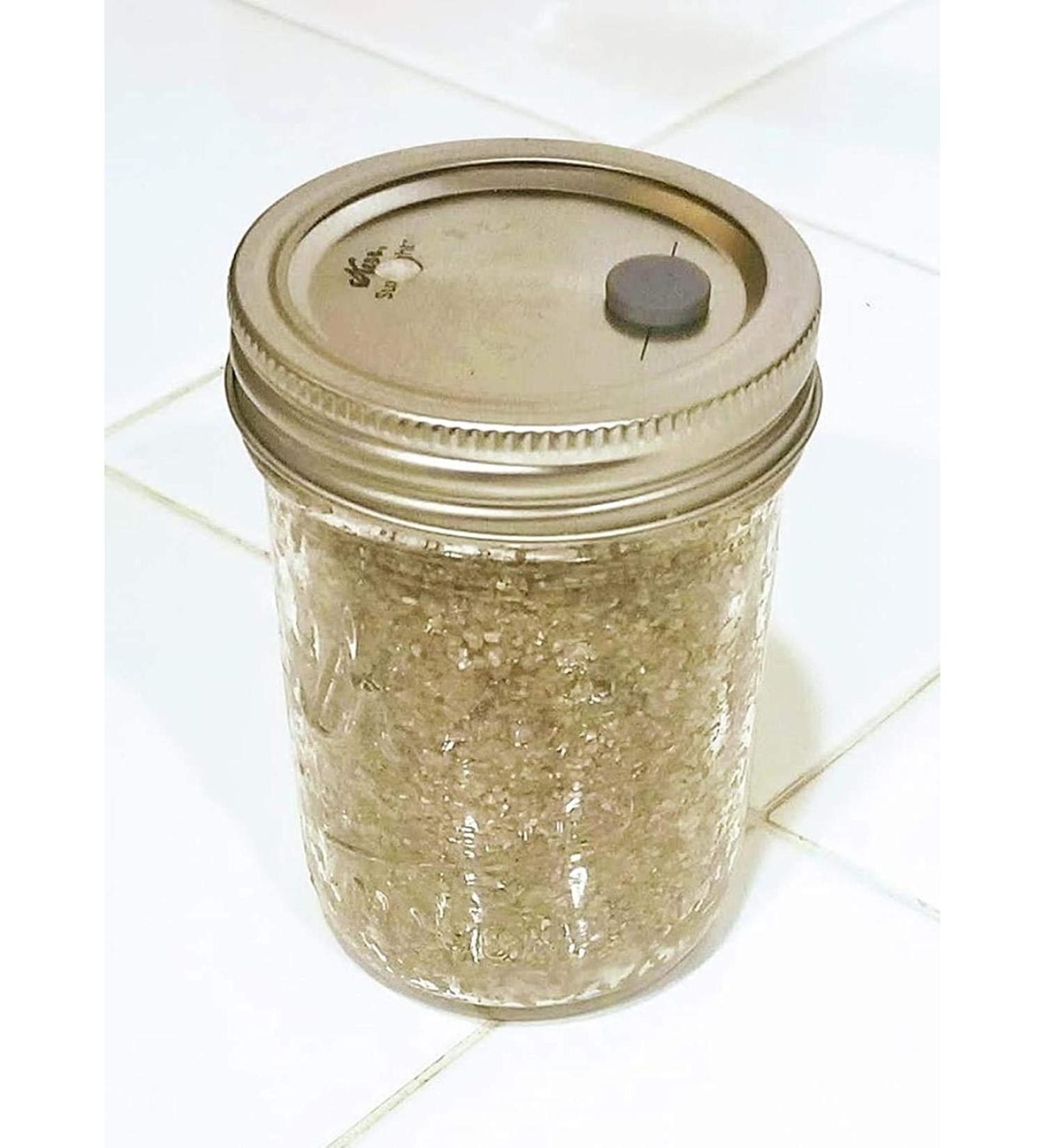BRF PF Tek Brown Rice Flour Mushroom Substrate - 1/2 Pint Jar - Buy Online on SooperMarket.com
