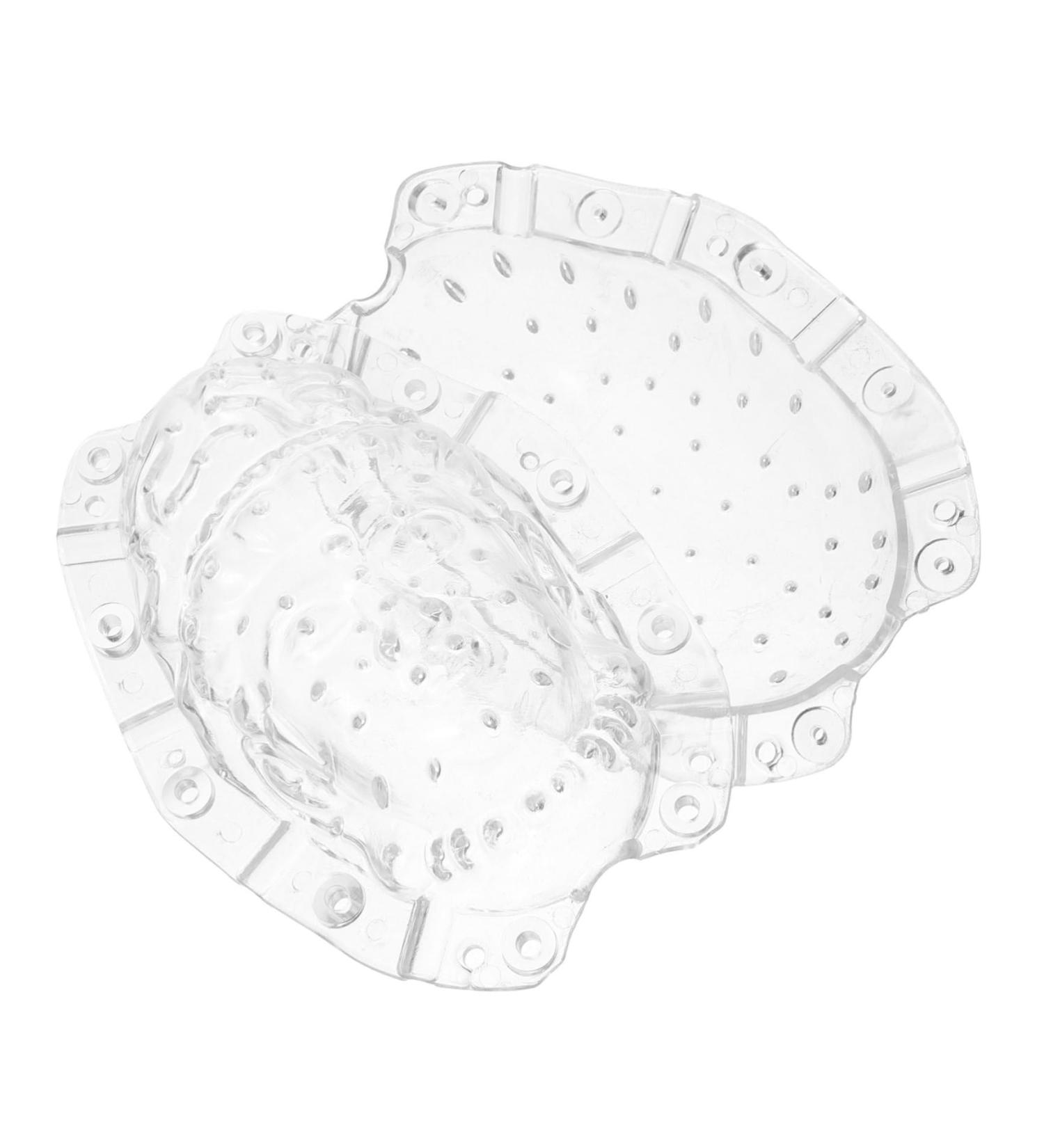 CIYODO Fruits Forming Mould Gardener Small for Creative Buddha Ginseng Shaper Growth Reusable Supply Shaped Growing Forming - Buy Online on SooperMarket.com