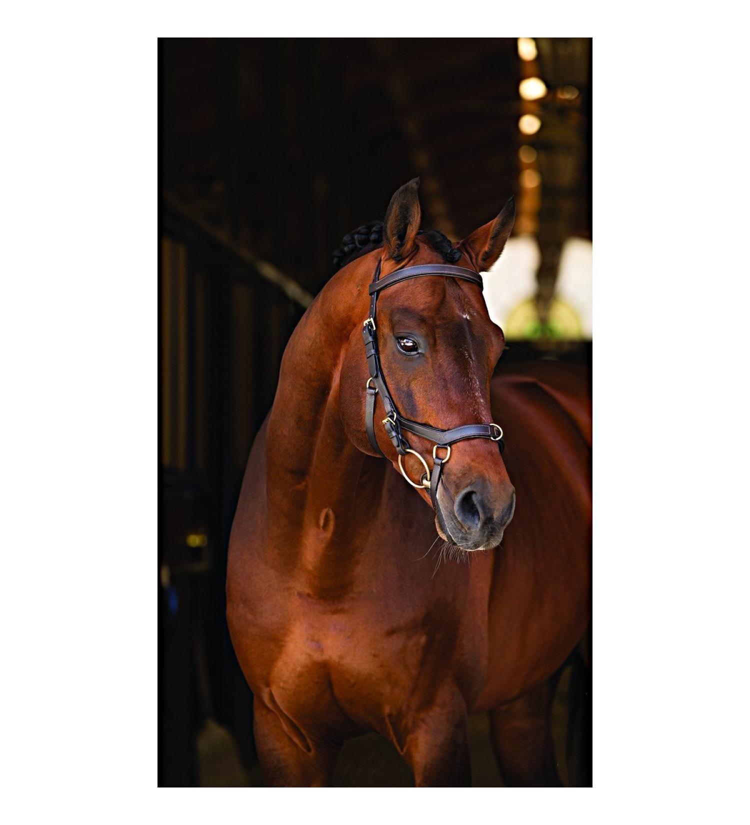 Horseware Rambo Micklem Multibridle Pony