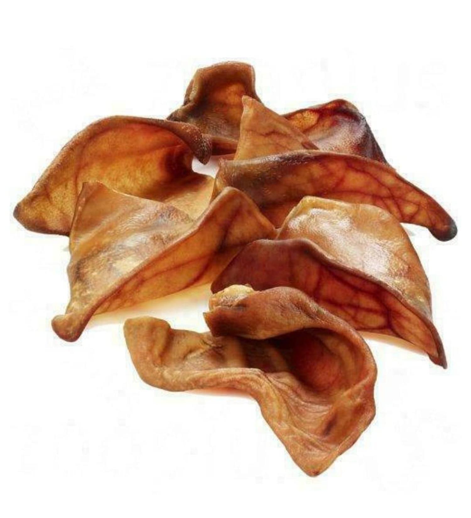Express Pet Supplies Xtra Large Pigs Ears Dog Treat Chews (5) 5 Count (Pack of 1)