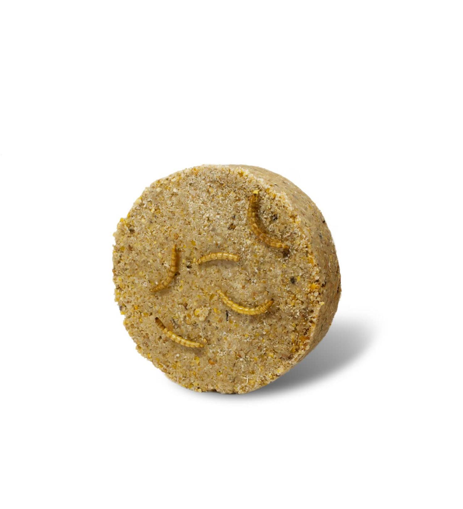 JR FARM Garden PRing Peanut Butter Mealworms 250g