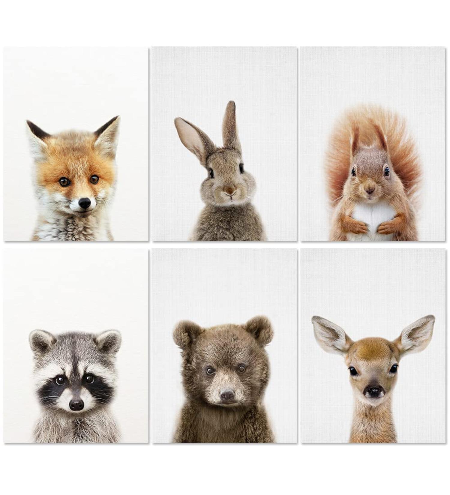 Forest Animals Poster Set - Set of 6 Children's Room Wall Art and Safari Decoration - Buy Online on SooperMarket.com