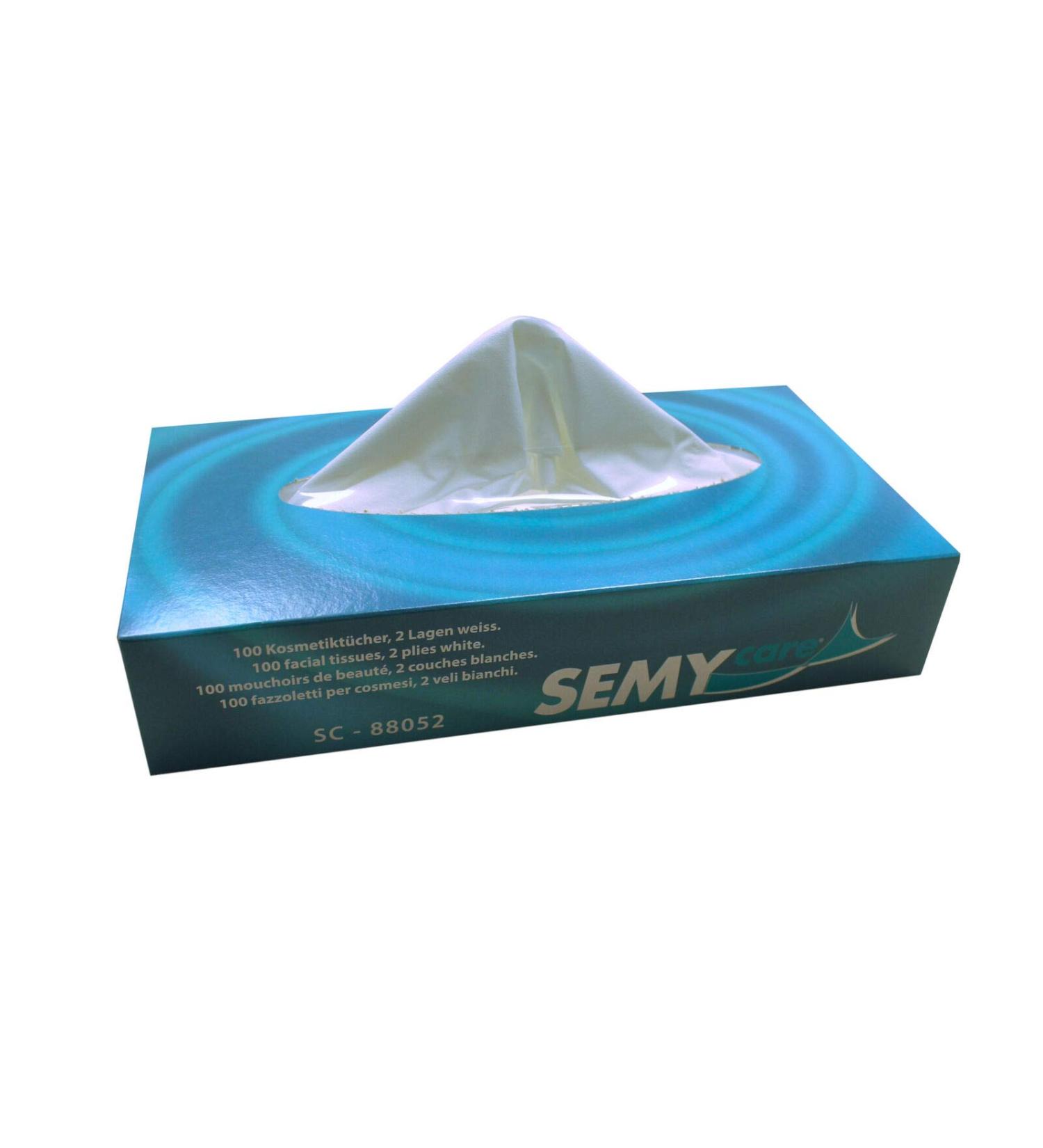 Facial tissues box paper handkerchiefs 2-ply white - various quantities (2 boxes 200 tissues)