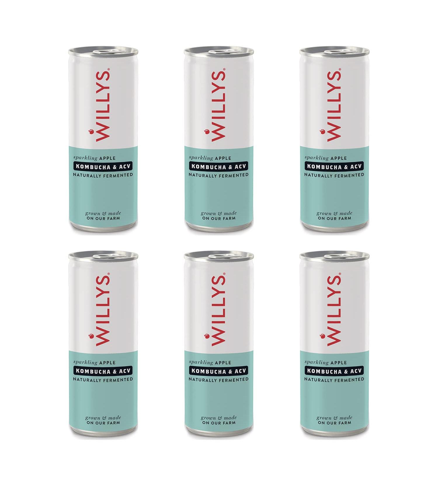 Willys ACV - Willy's Sparkling Apple Kombucha & ACV Drink (Apple Cider Vinegar) 250ml Can - Pack of 6