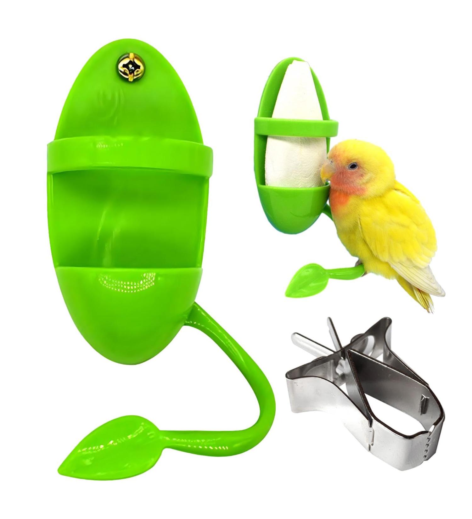 2Pcs Bird Parrot Cuttlebone Holder Set with Perch Stand Universal Bird Feeding Racks Cuttlefish Bone with Holder for Bird Food Supplies Vegetable Fruit Container green - Buy Online on SooperMarket.com