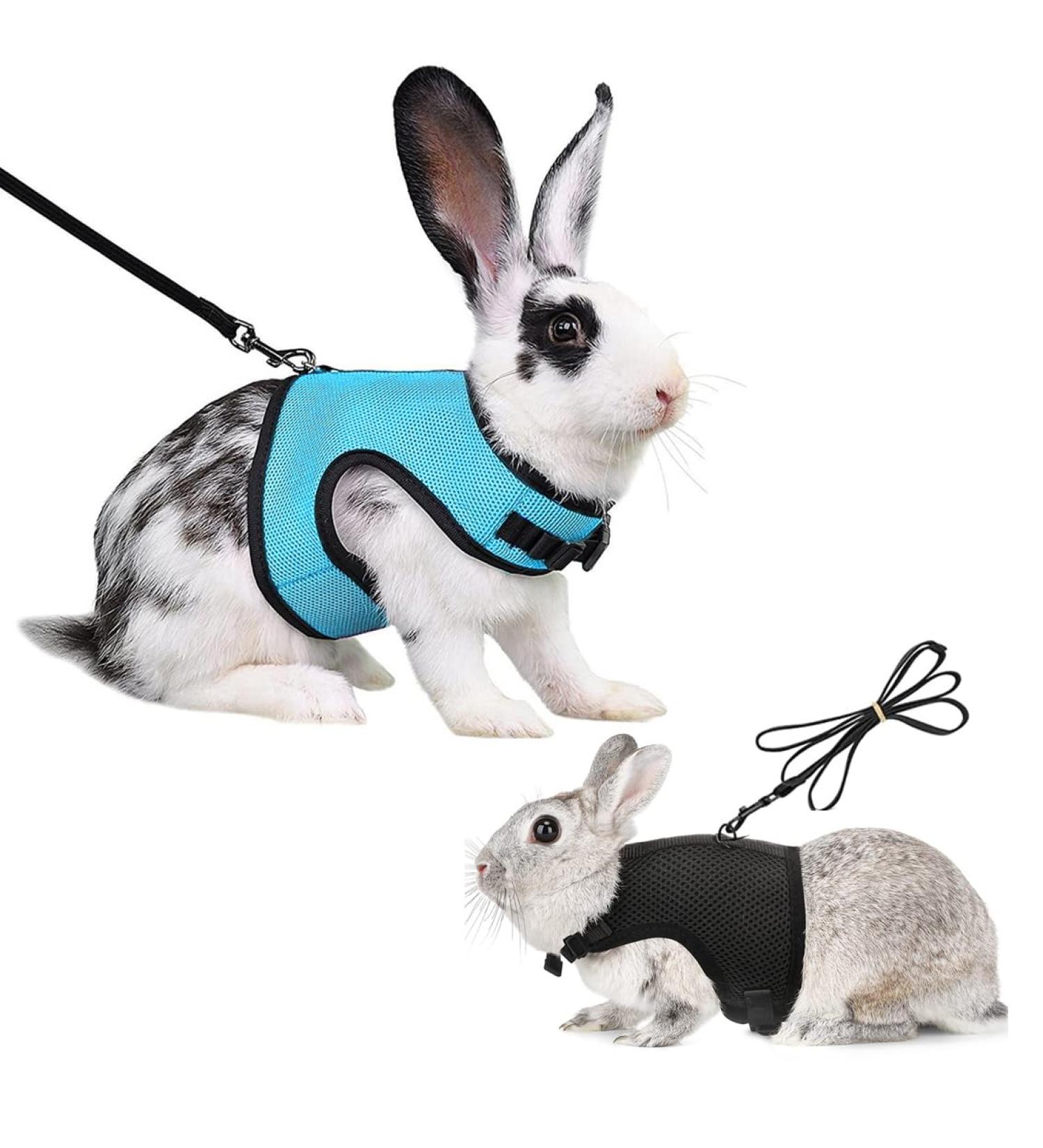 Soft Rabbit Dishes with Leash - Adjustable 2-Piece Mesh Set for Kittens & Pets | Durable & Comfortable - Buy Online on SooperMarket.com