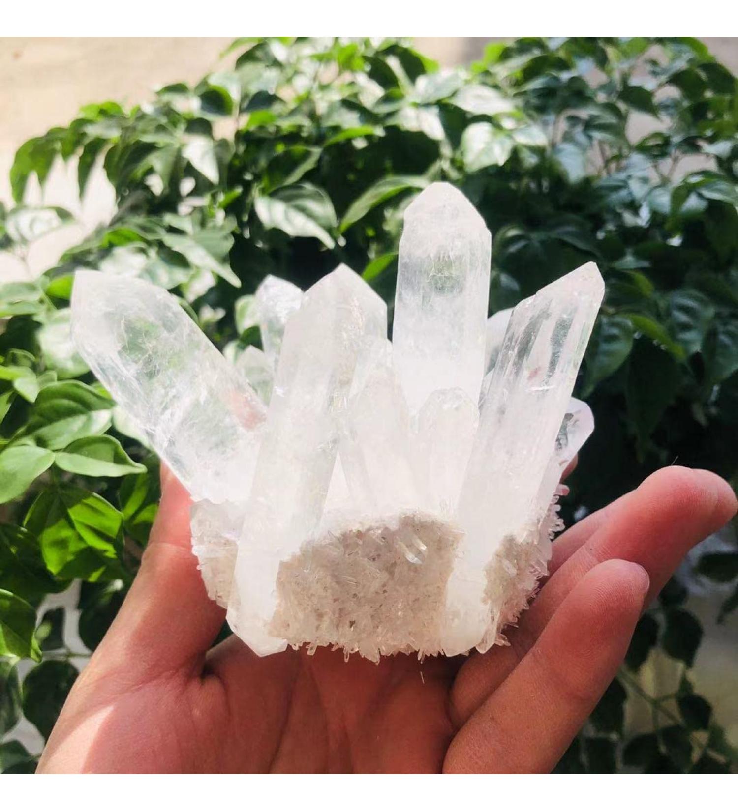 350g-900g Natural Clear Quartz Stone White Crystal Cluster 1pc HOMEZHOU (Color : 1pc 510g-560g) - Buy Online on SooperMarket.com
