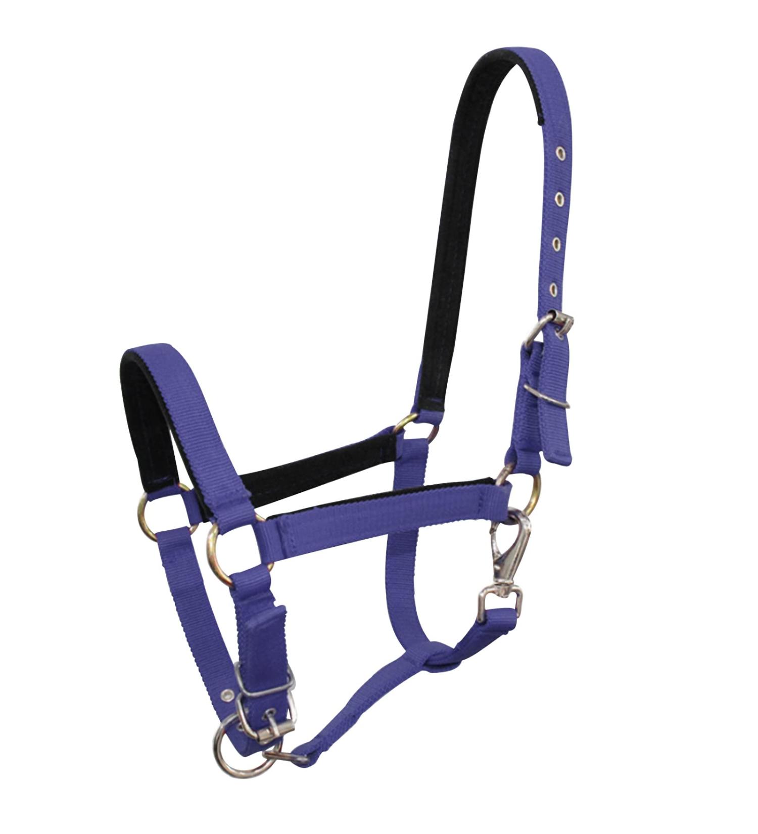 Meta Title: TrustBreech-HAltes Large Navy Blue | Premium Equestrian Riding Breeches - Buy Online on SooperMarket.com