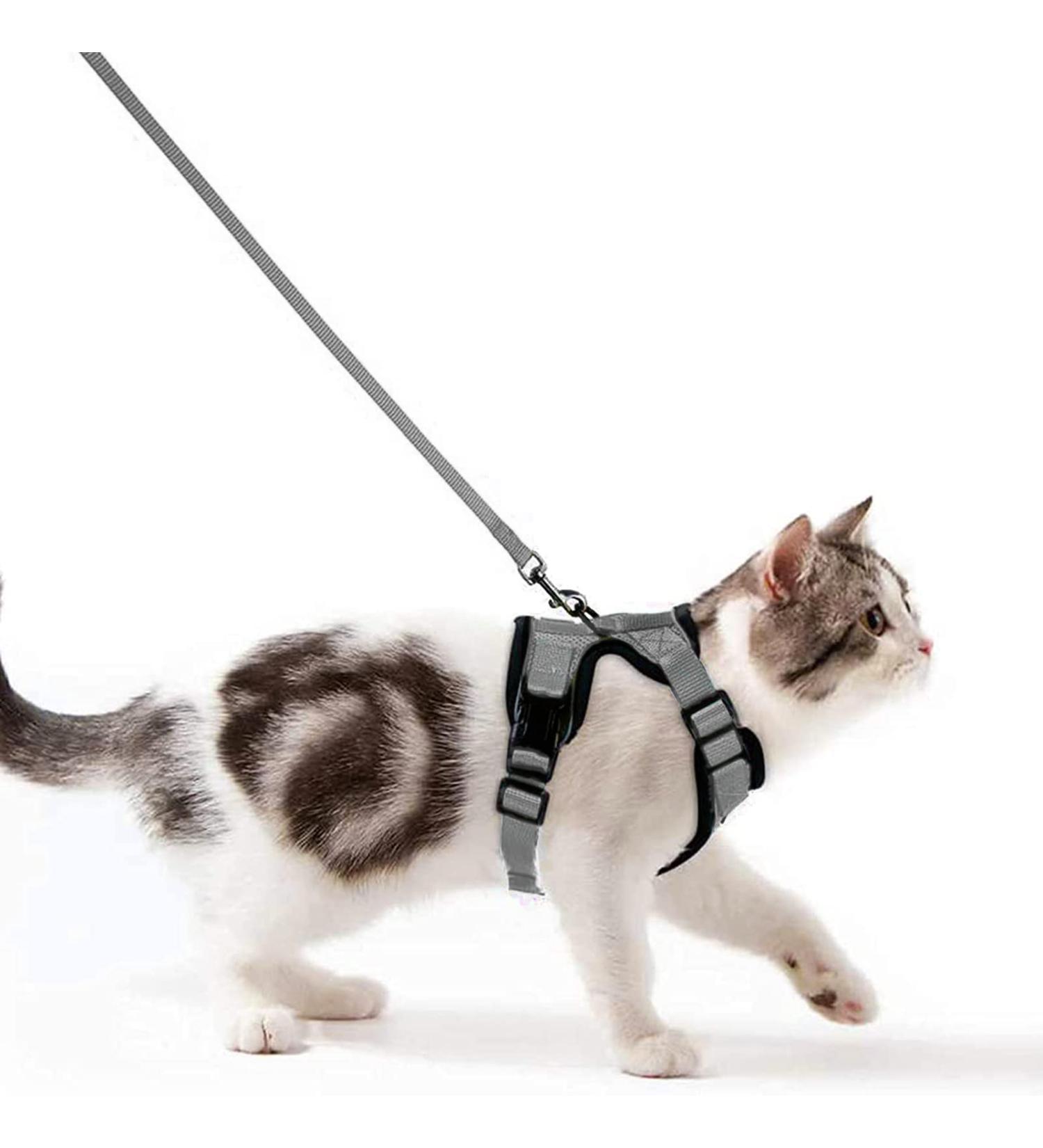 Breakproof Cat Leash Set & Adjustable Soft Kitten Vest | Reflective Stripes | Gray Small Cat Dishes | Ideal for Small Kittens - Buy Online on SooperMarket.com